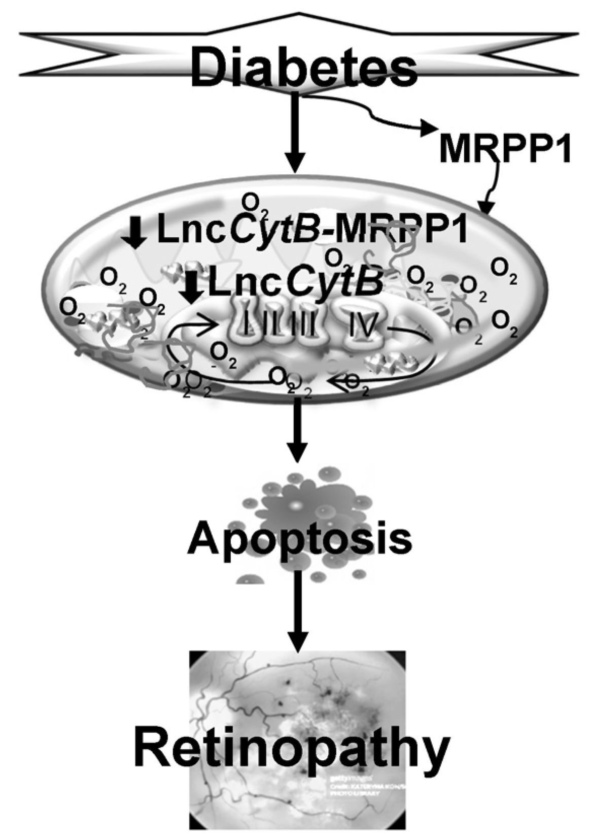 Biomedicines 12 01637 g008