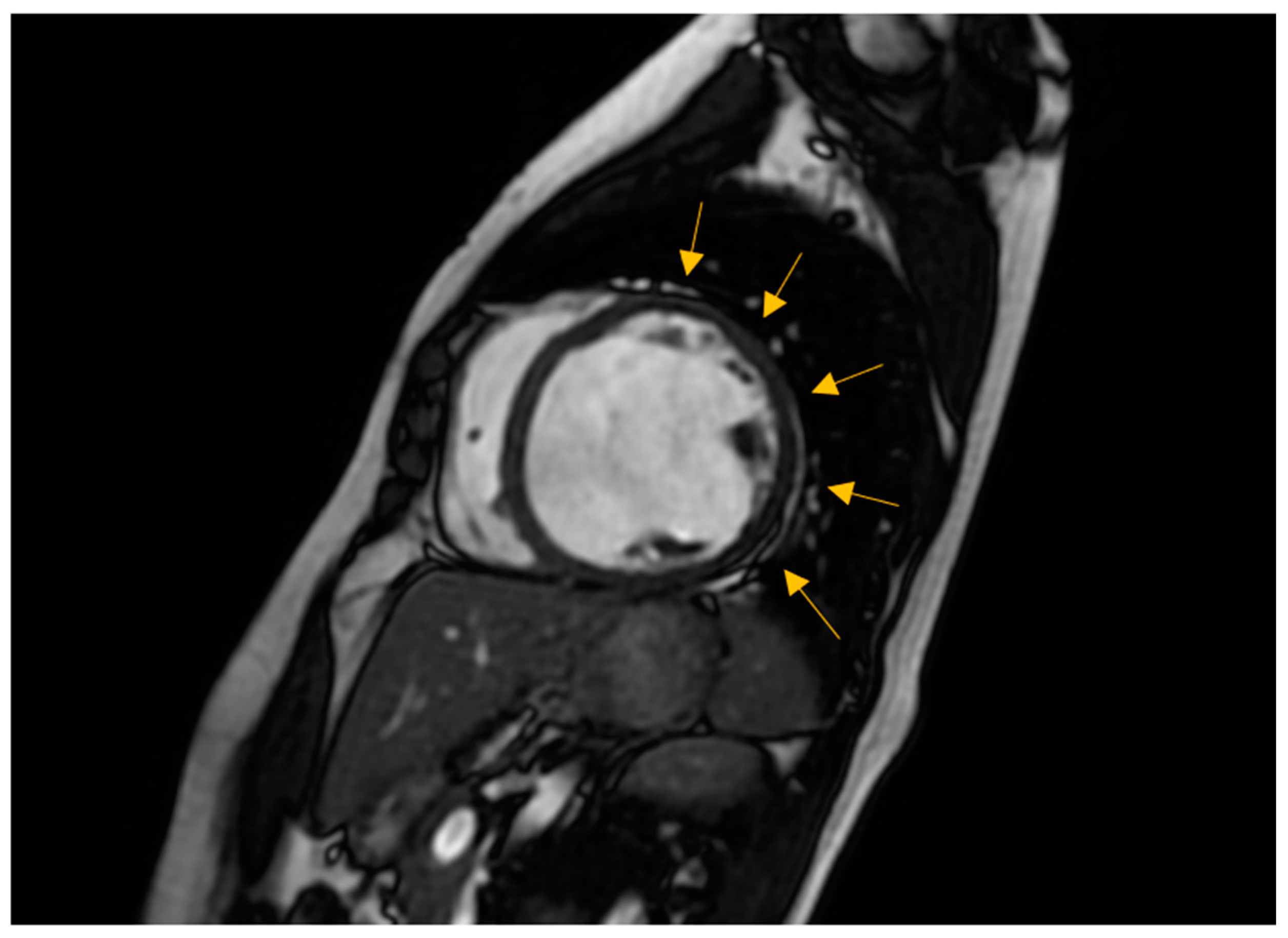 Biomedicines 12 01643 g005