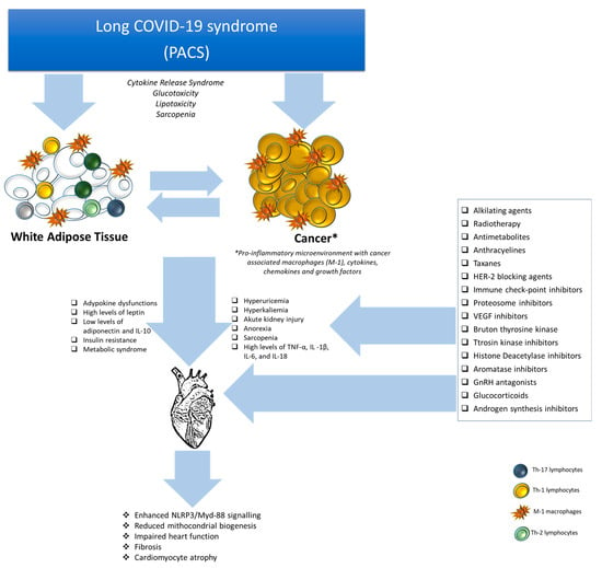 Addressing Post Acute COVID 19 Syndrome in Cancer Patients from  