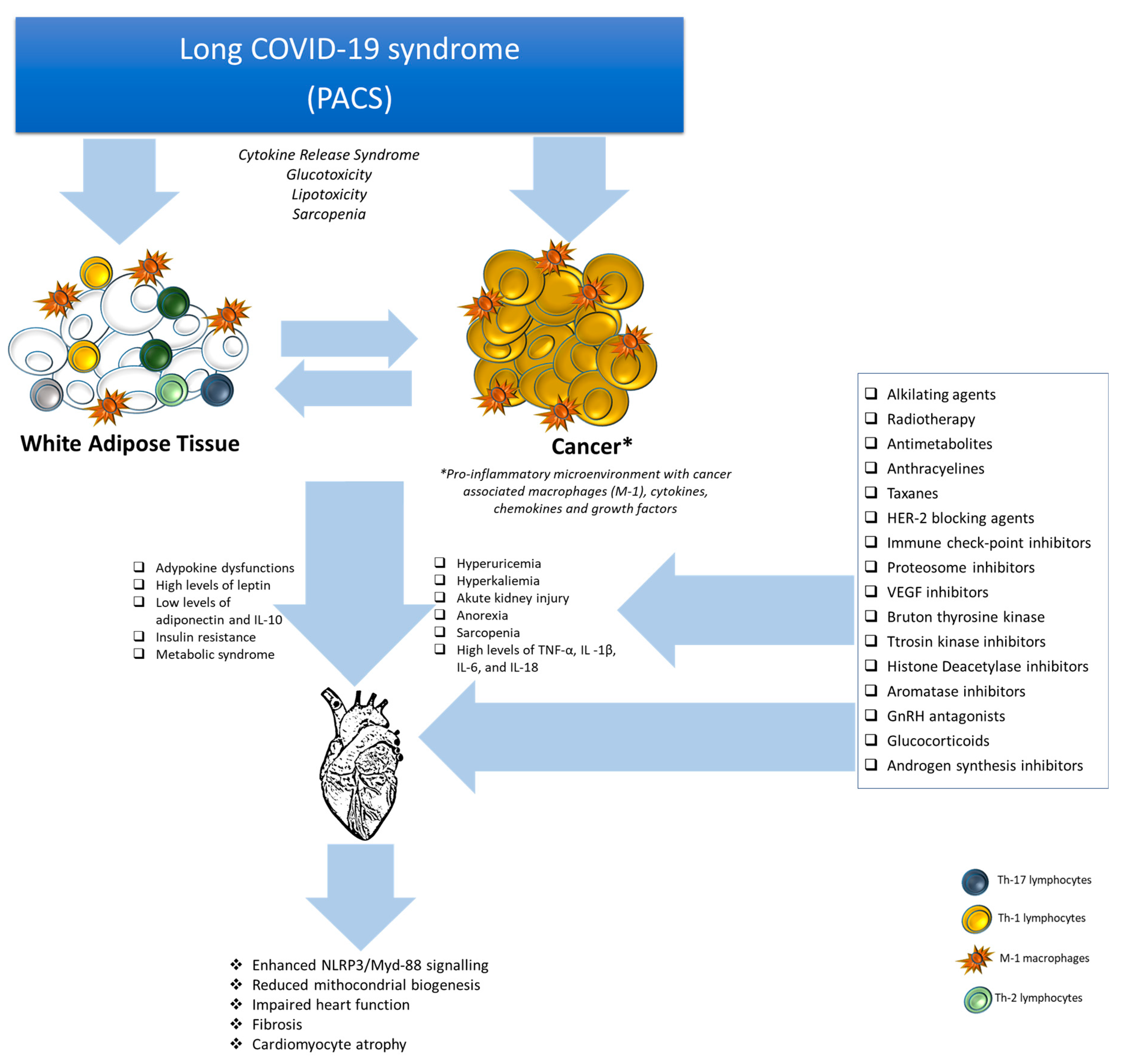 Biomedicines 12 01650 g001