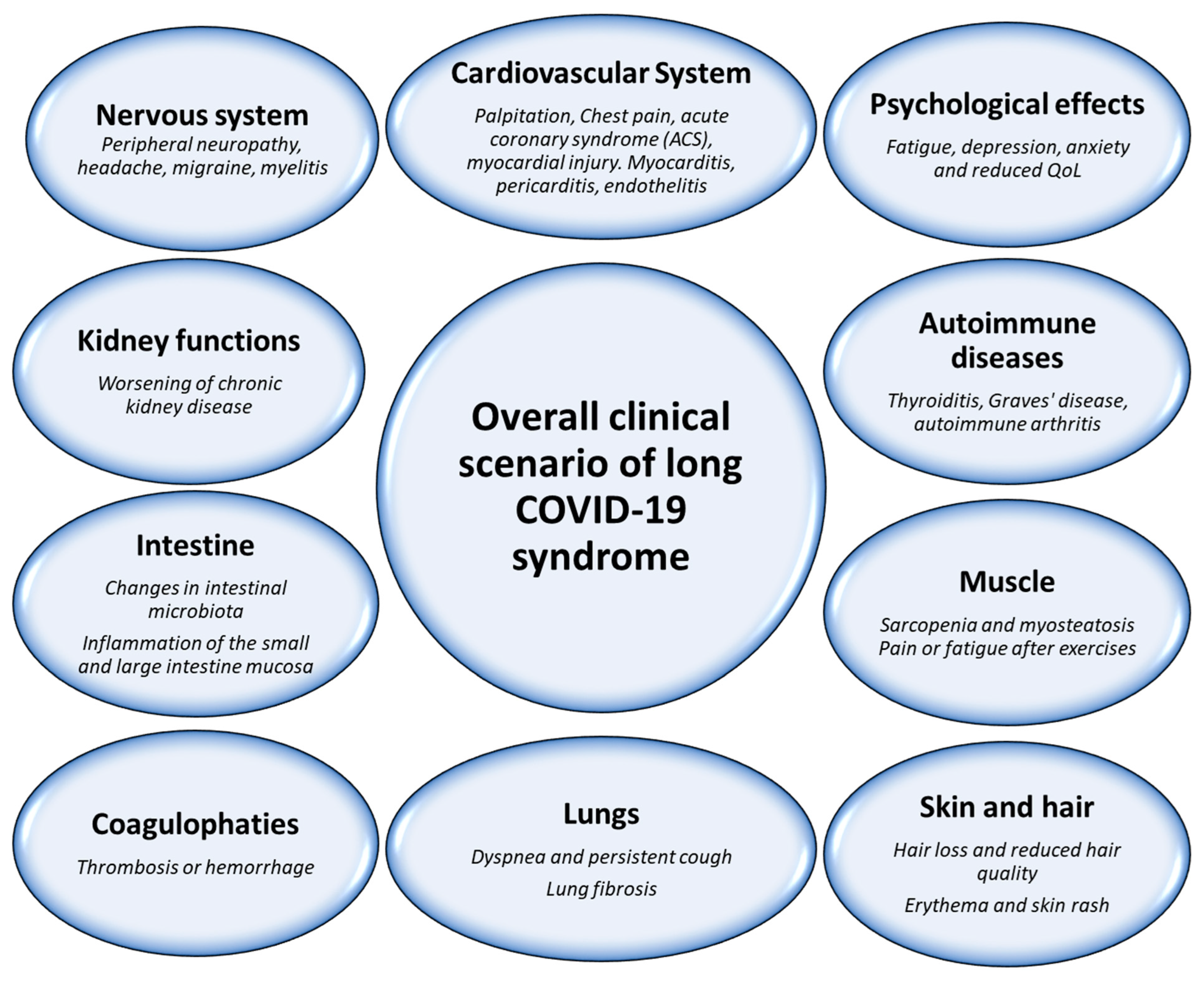 Biomedicines 12 01650 g002