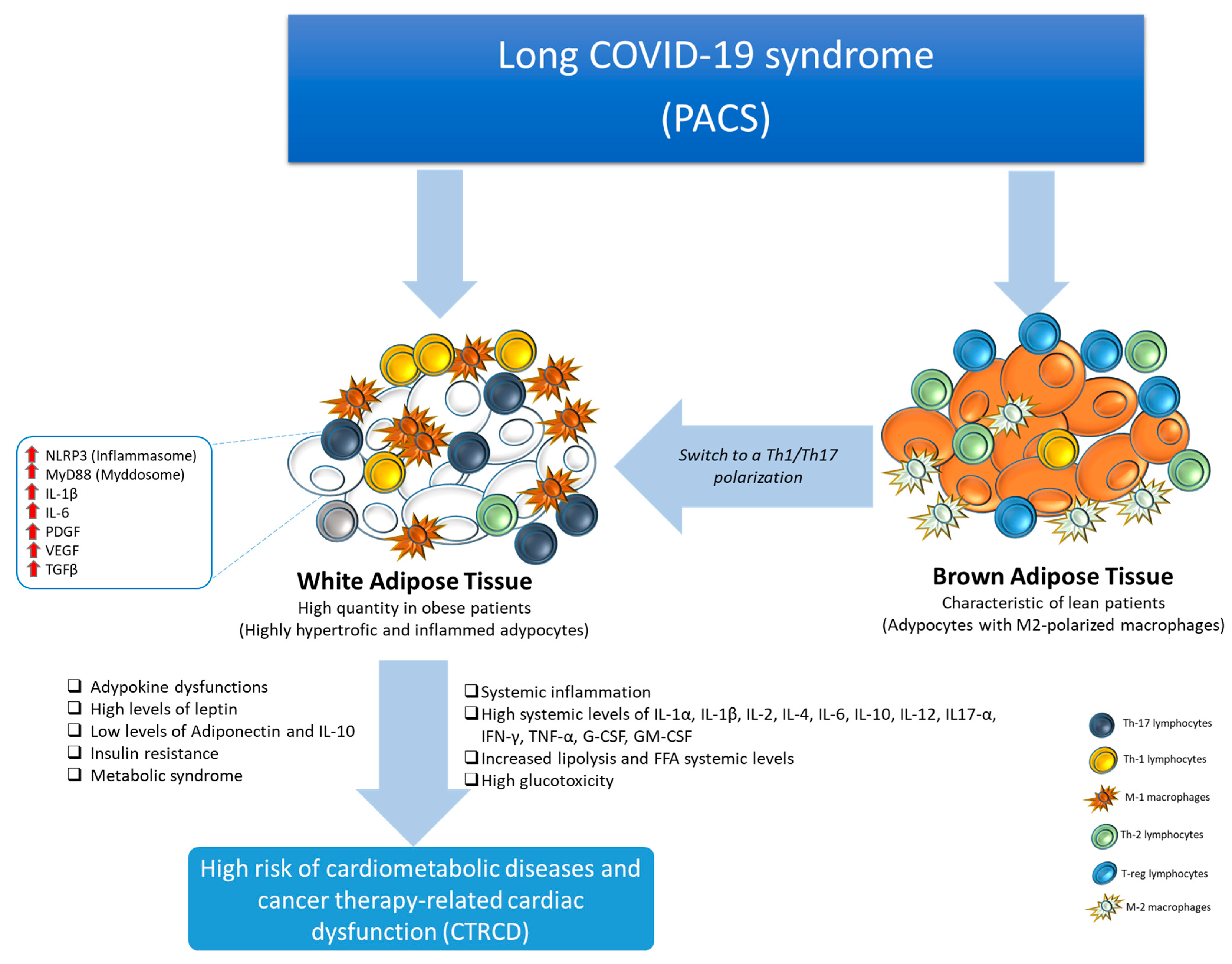 Biomedicines 12 01650 g003