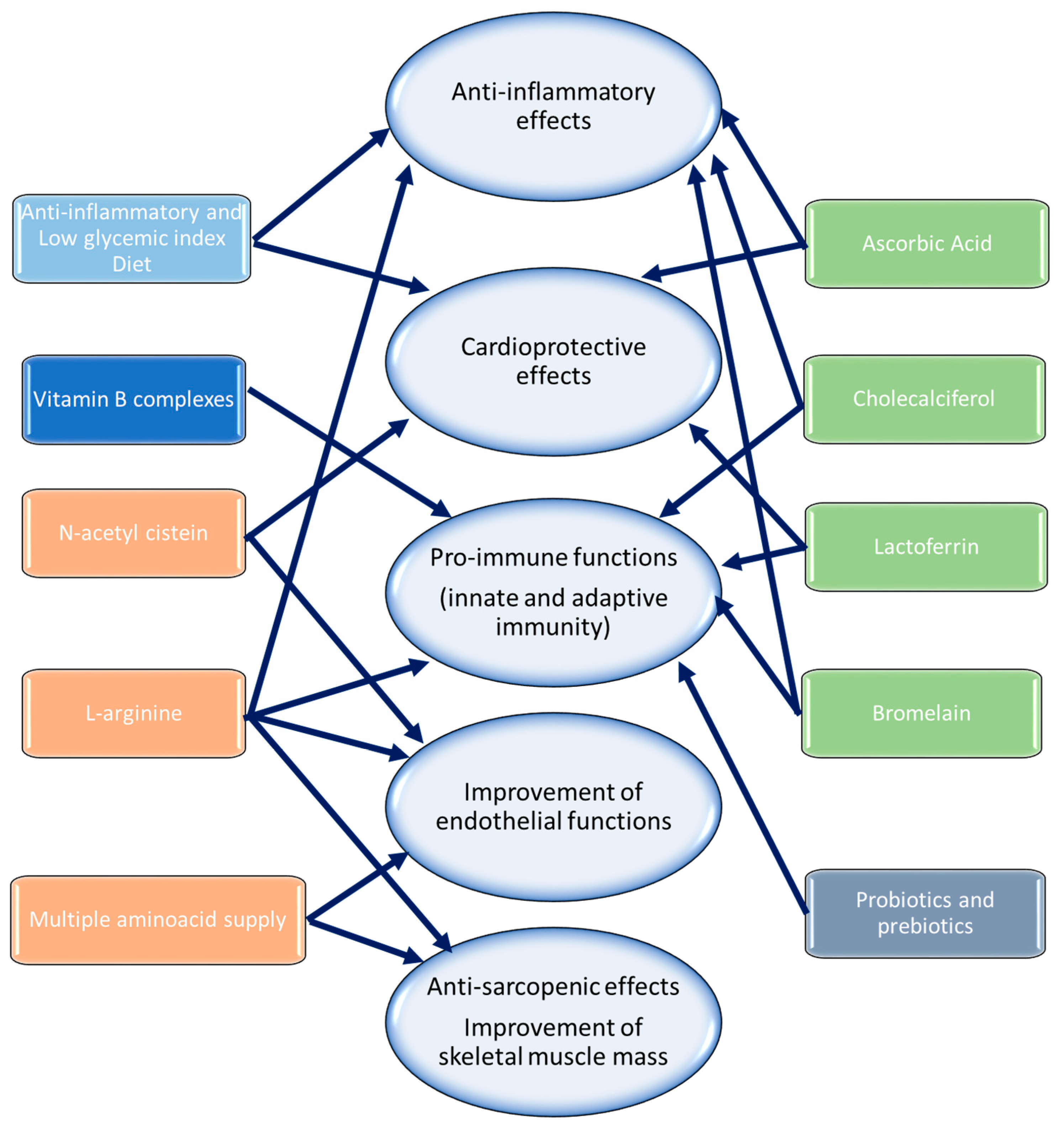 Biomedicines 12 01650 g005