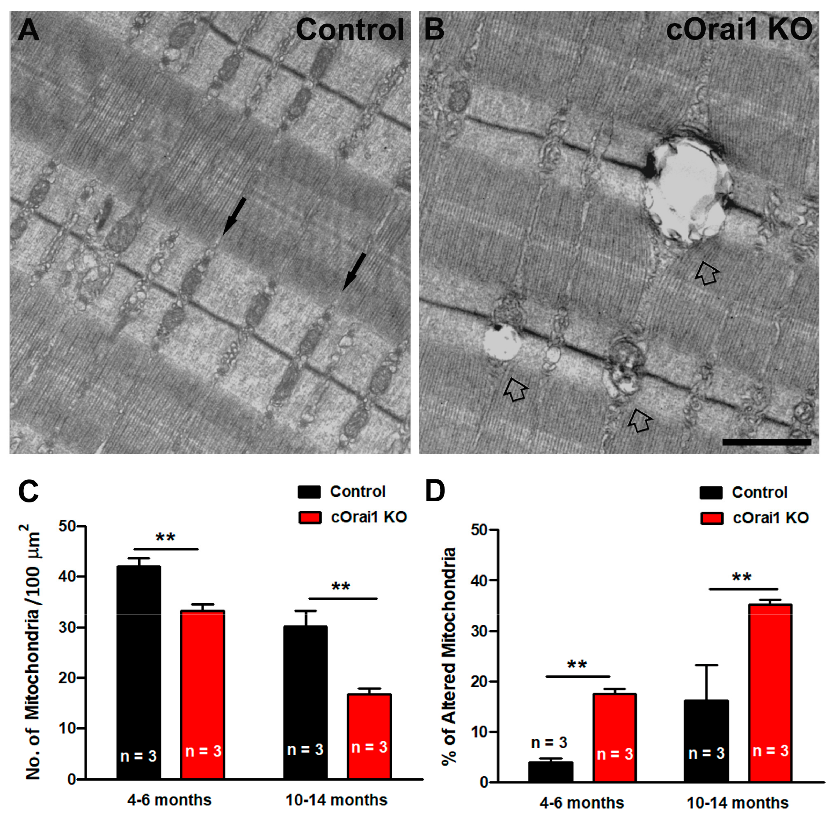 Biomedicines 12 01651 g006