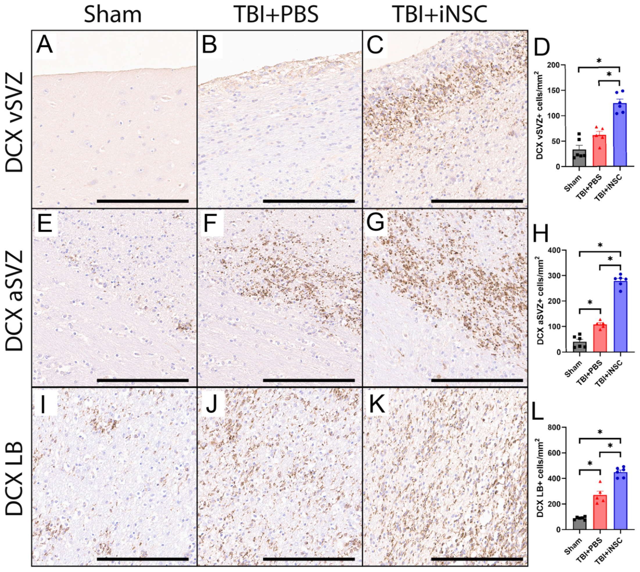 Biomedicines 12 01663 g003