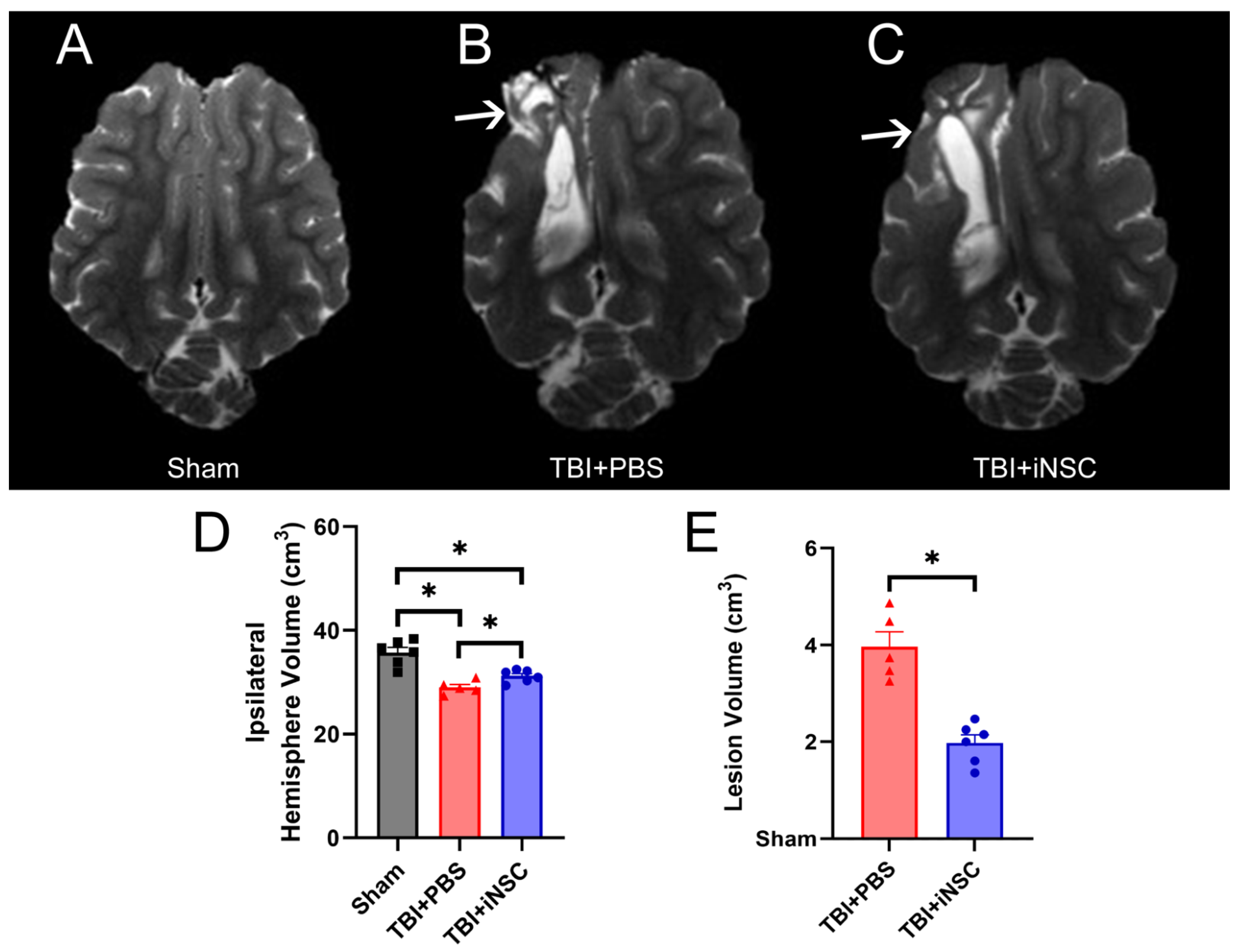 Biomedicines 12 01663 g004