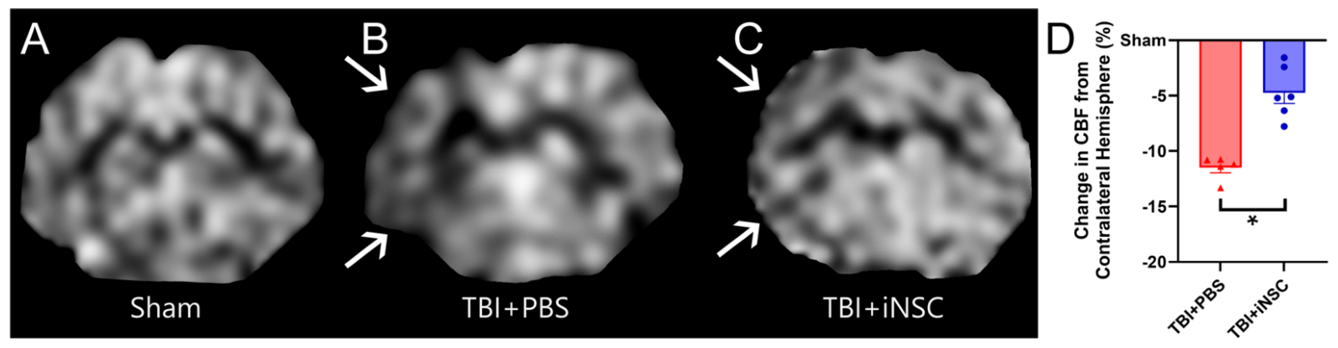 Biomedicines 12 01663 g006