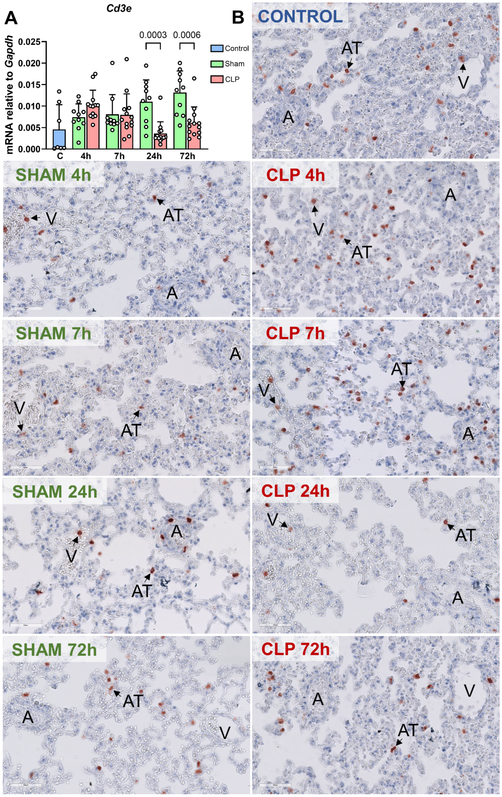 Biomedicines 12 01672 g008
