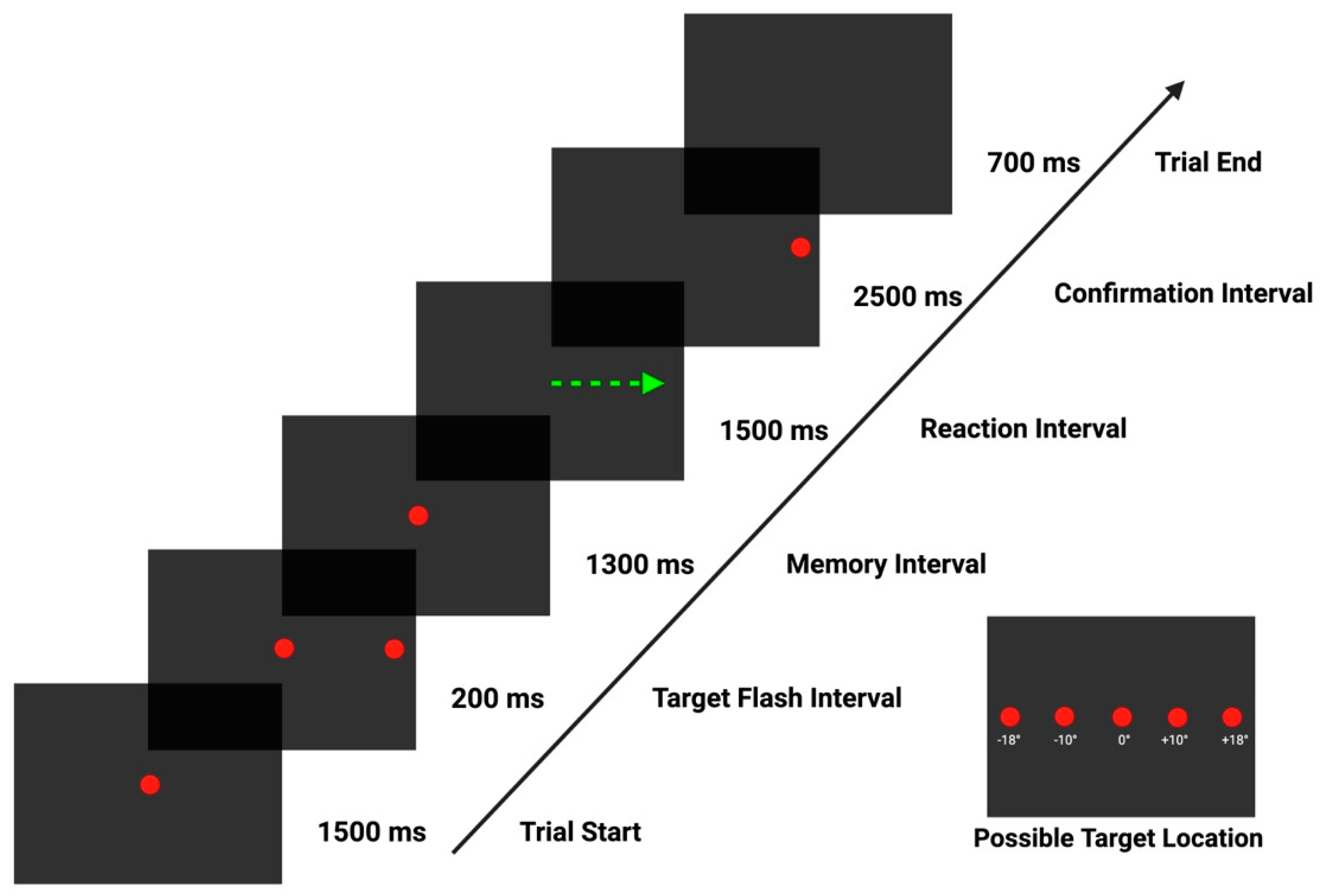 Biomedicines 12 01678 g001
