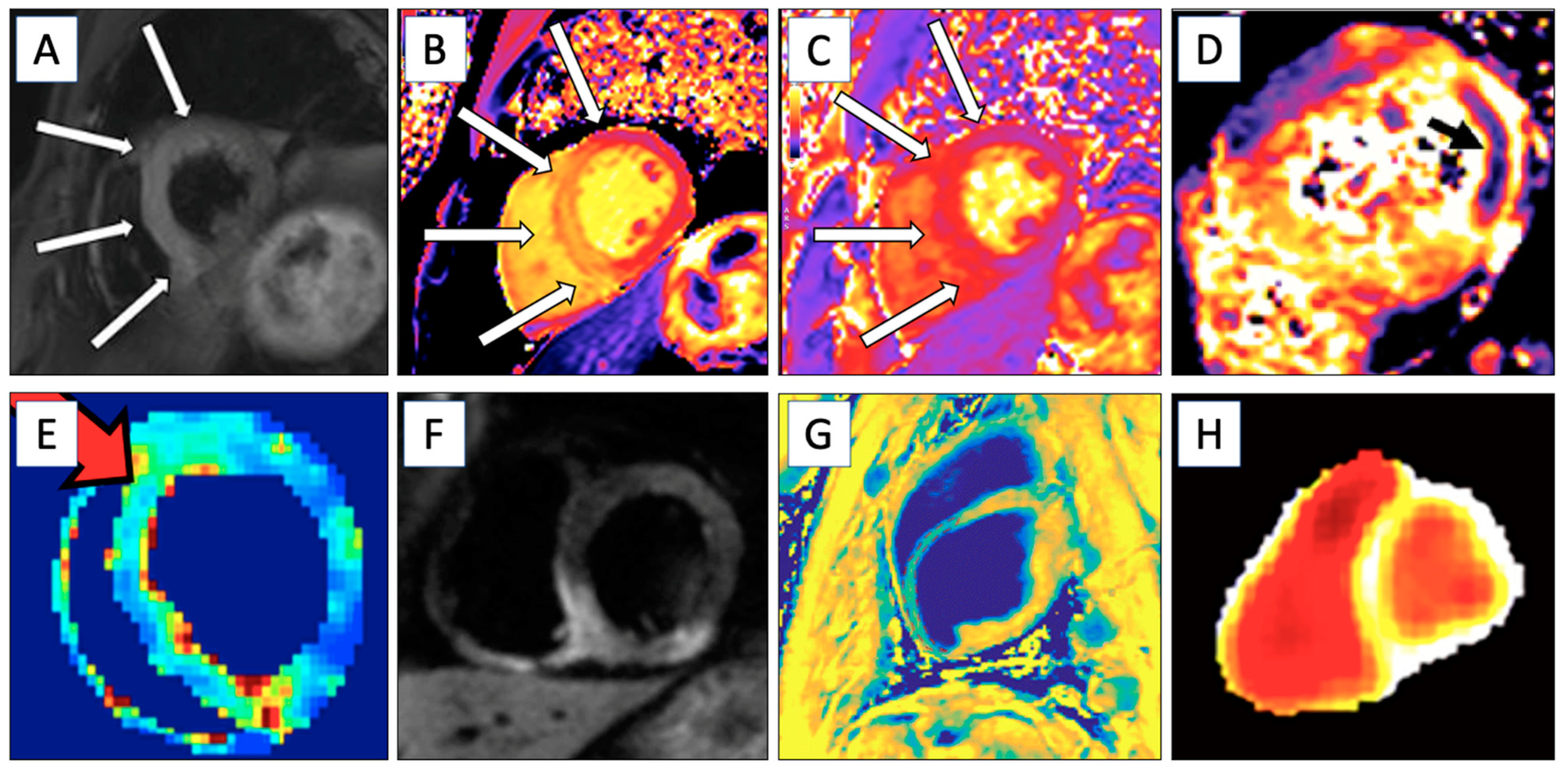 Biomedicines 12 01681 g002