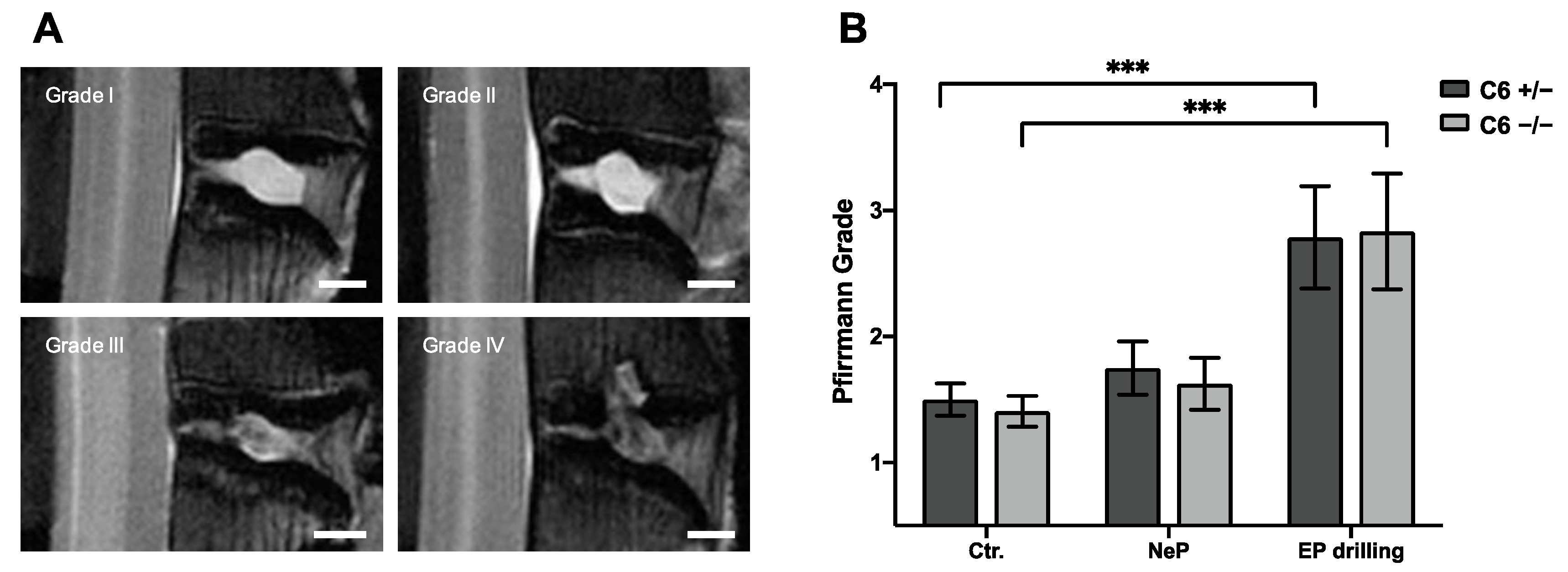 Biomedicines 12 01692 g003 Biomedicines 12 01692 g003