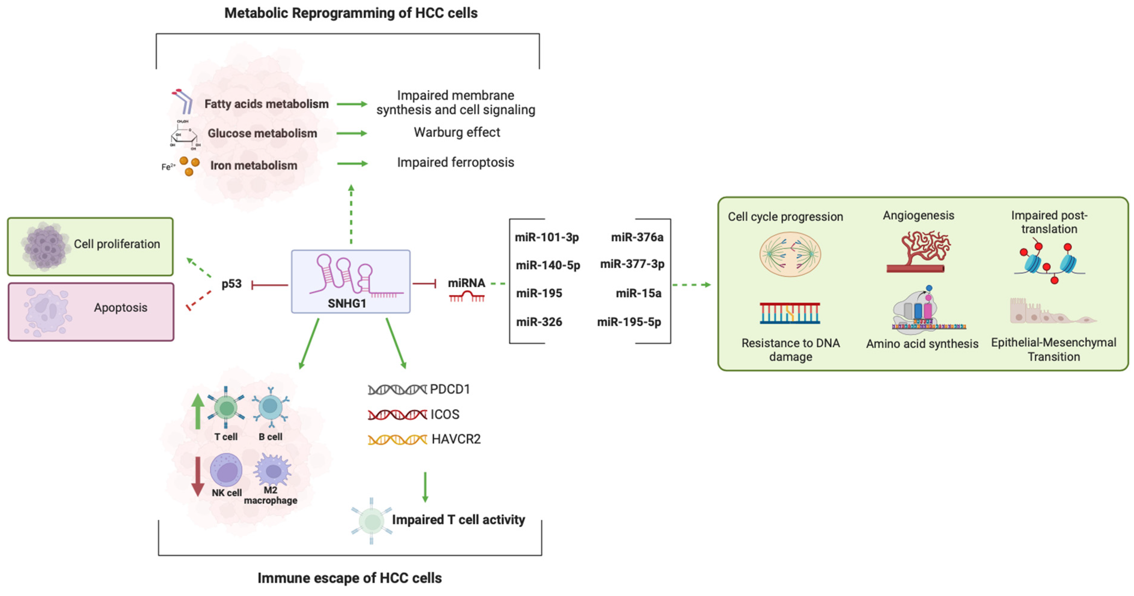 Biomedicines 12 01696 g007