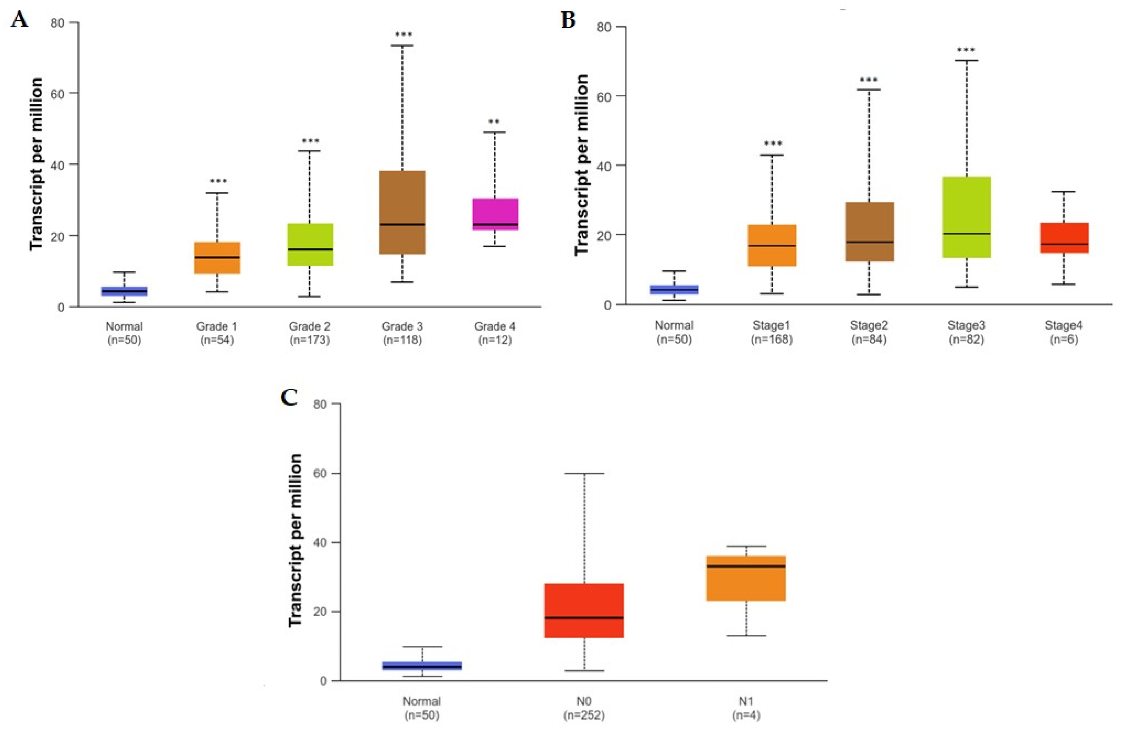 Biomedicines 12 01696 g008