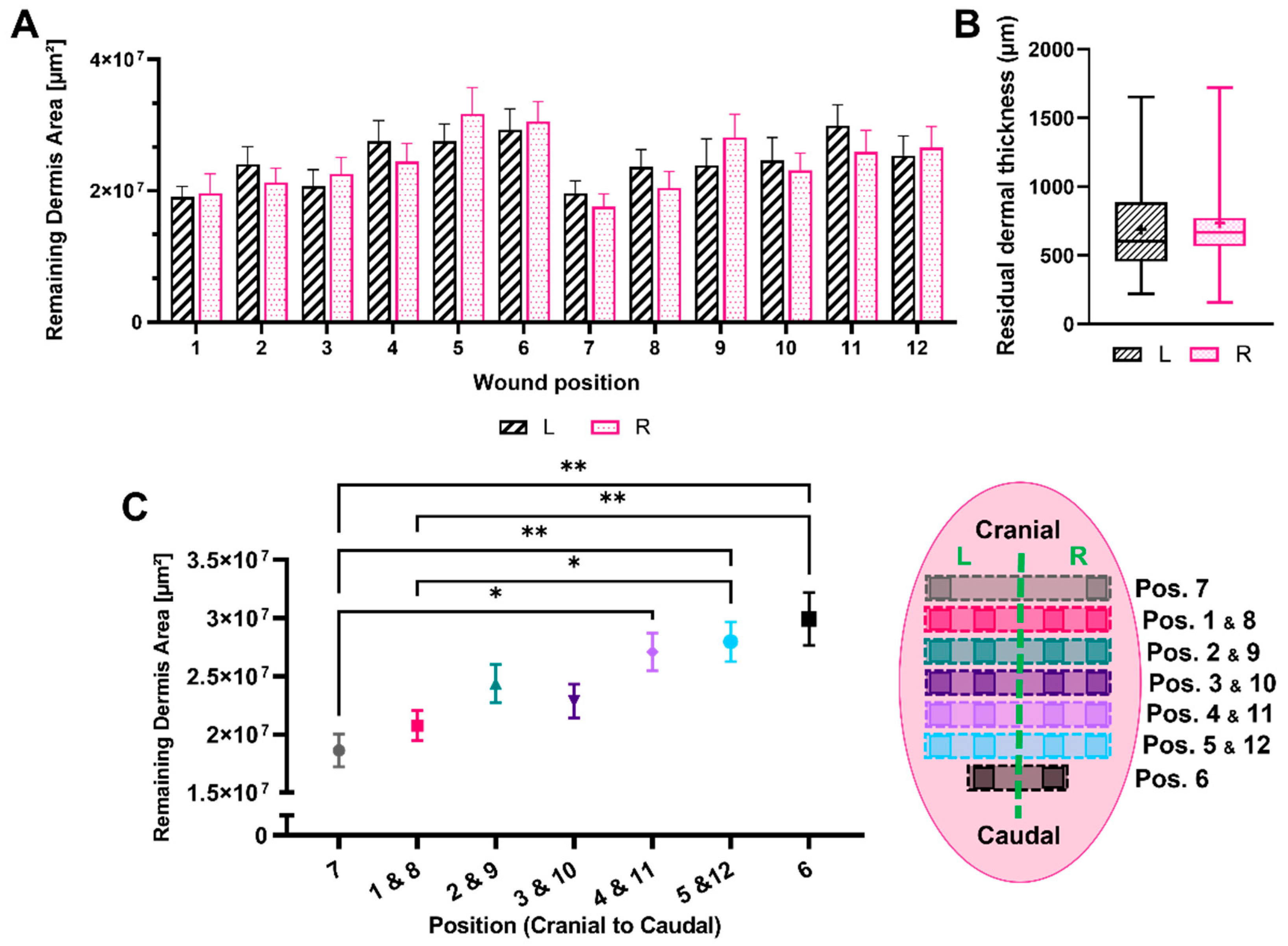 Biomedicines 12 01697 g003