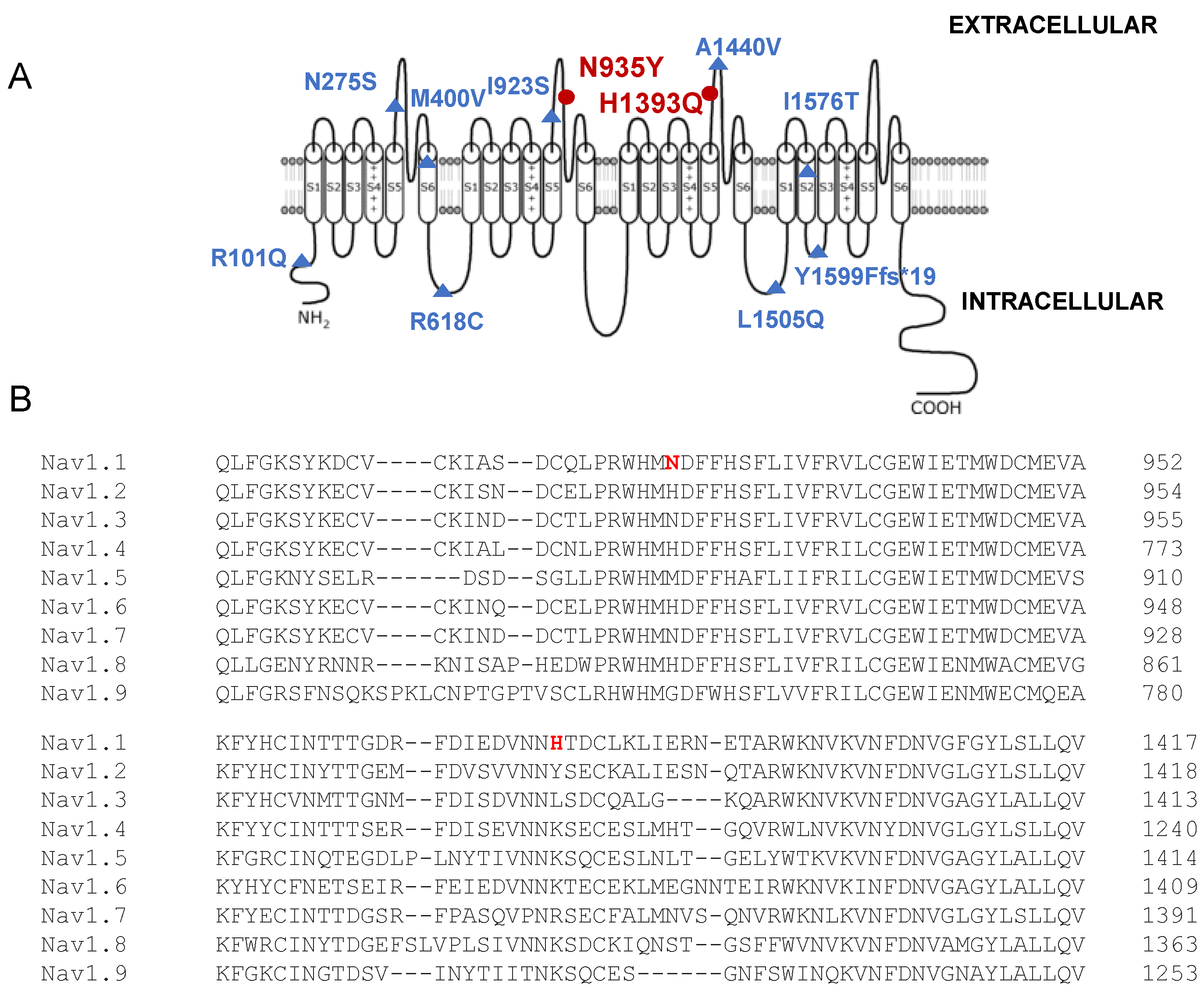 Biomedicines 12 01698 g002