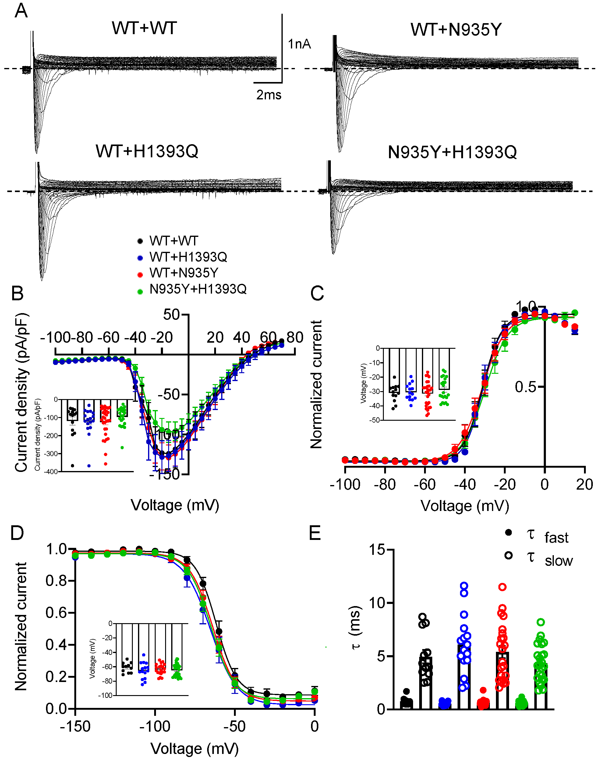 Biomedicines 12 01698 g004