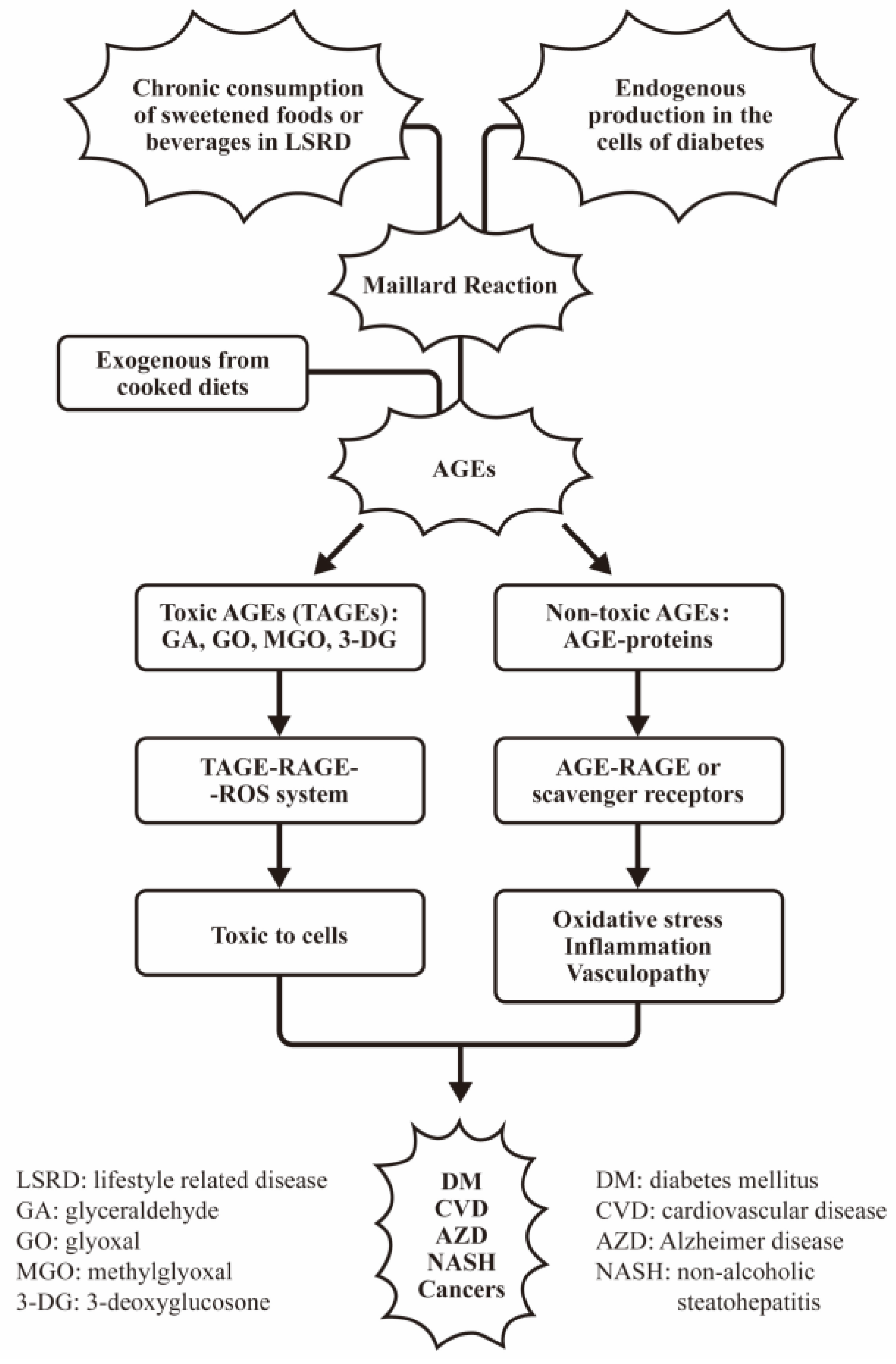 Biomedicines 12 01699 g001