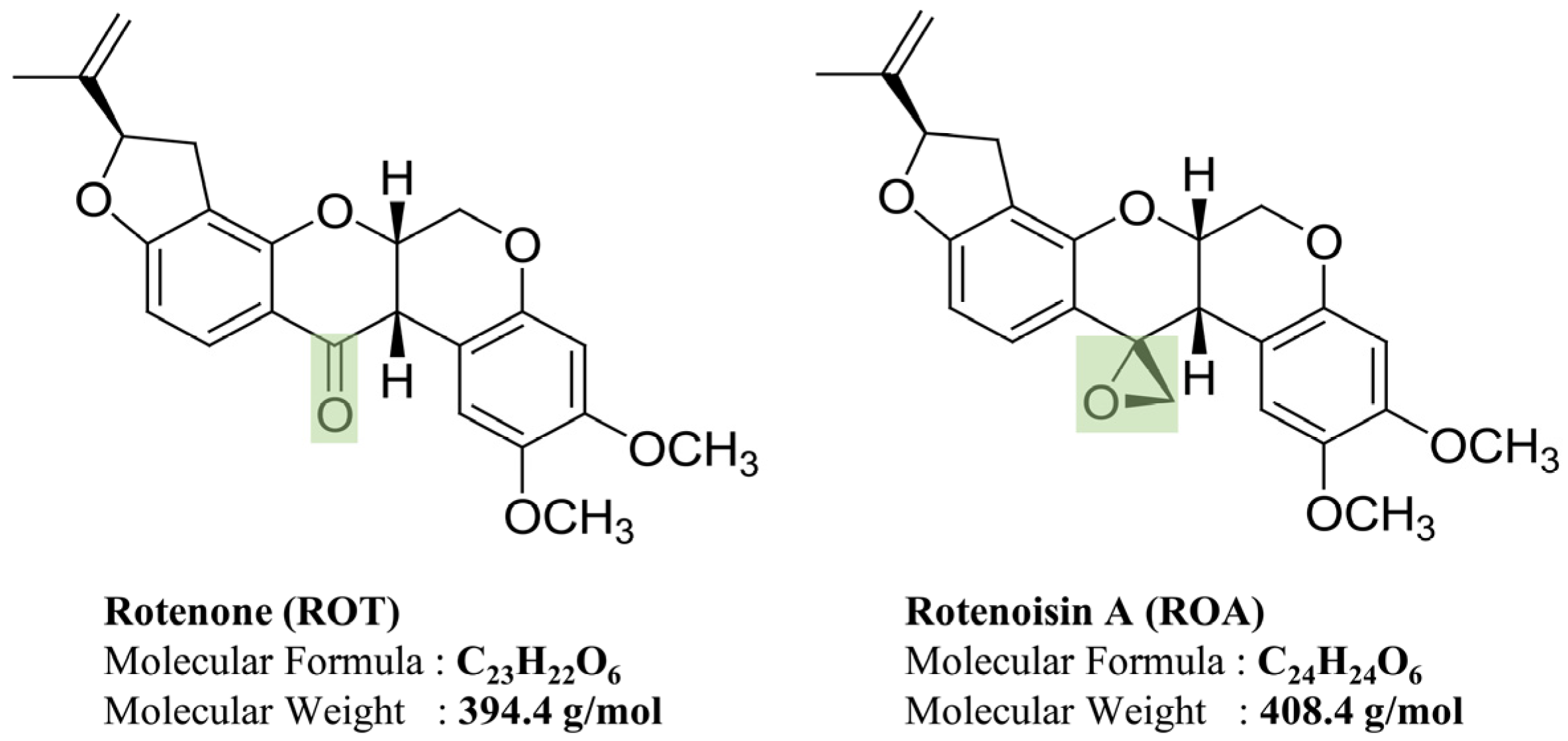 Biomedicines 12 01703 g001
