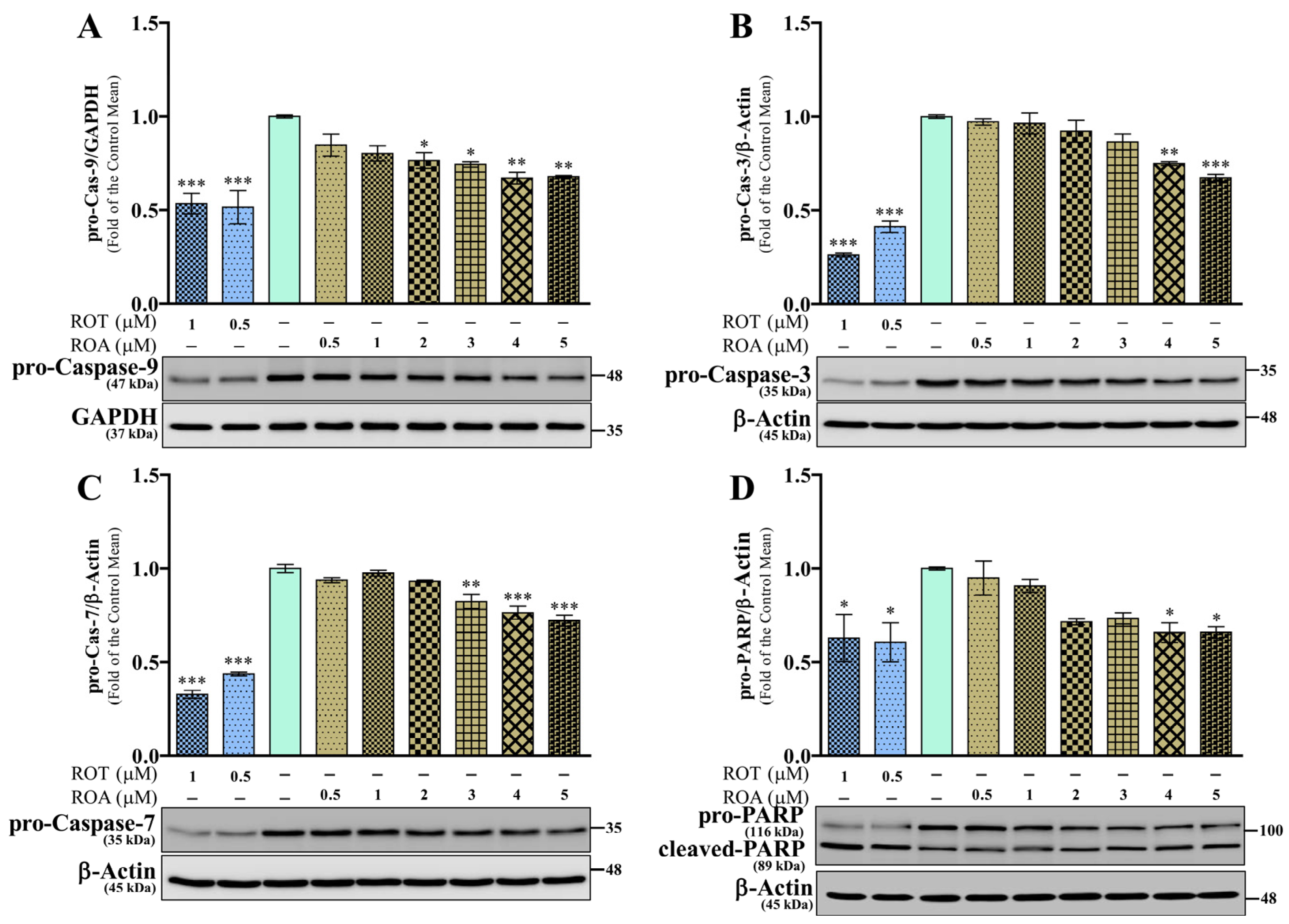 Biomedicines 12 01703 g008