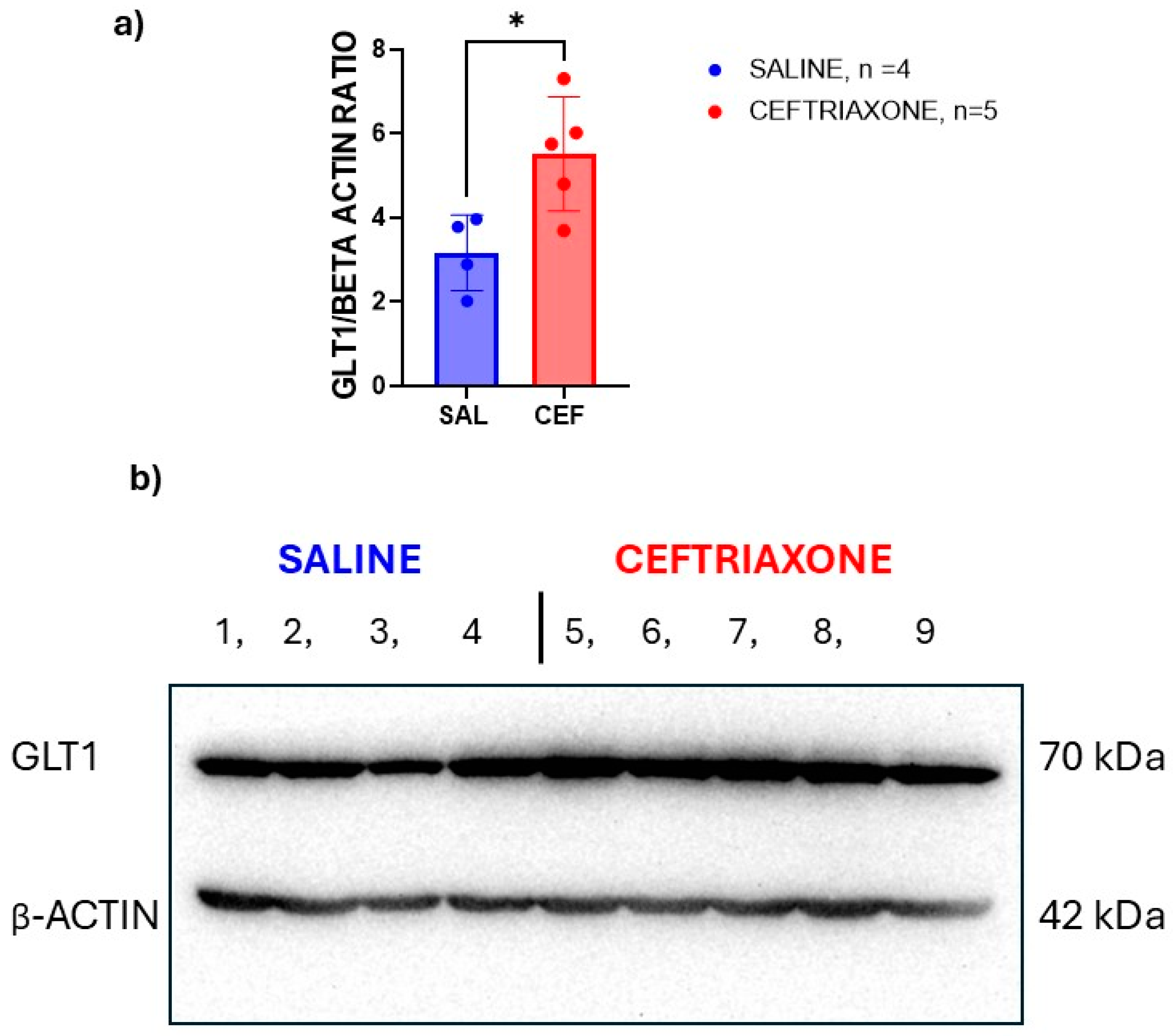 Biomedicines 12 01711 g004 Biomedicines 12 01711 g004