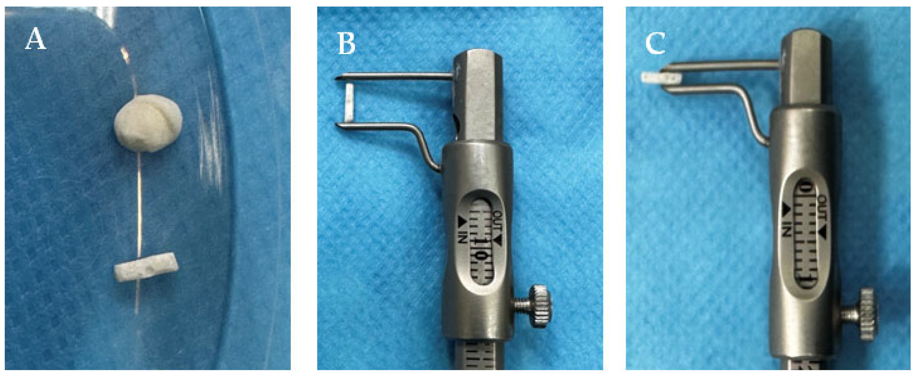 Biomedicines 12 01718 g001