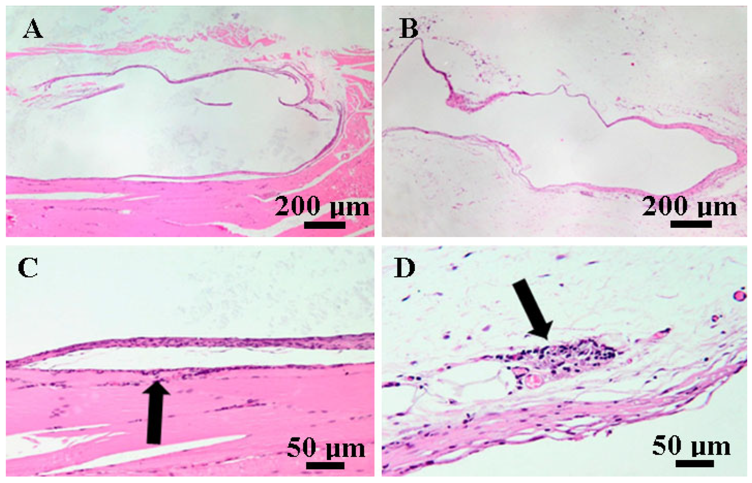 Biomedicines 12 01718 g009