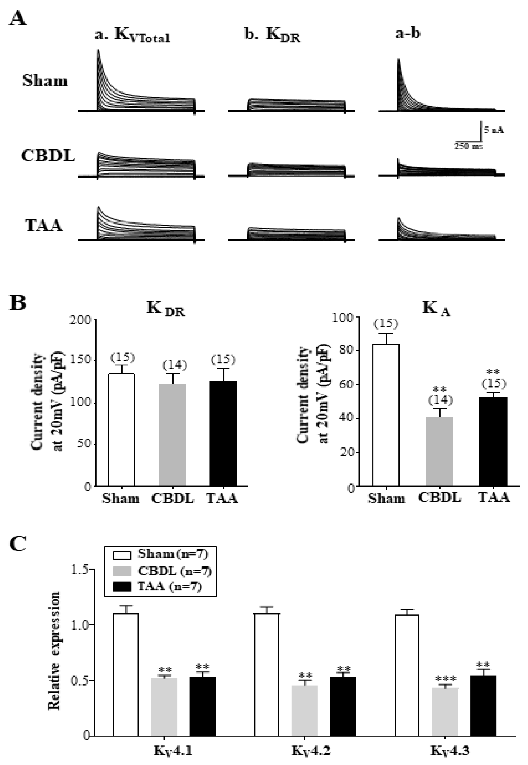 Biomedicines 12 01722 g004 Biomedicines 12 01722 g004