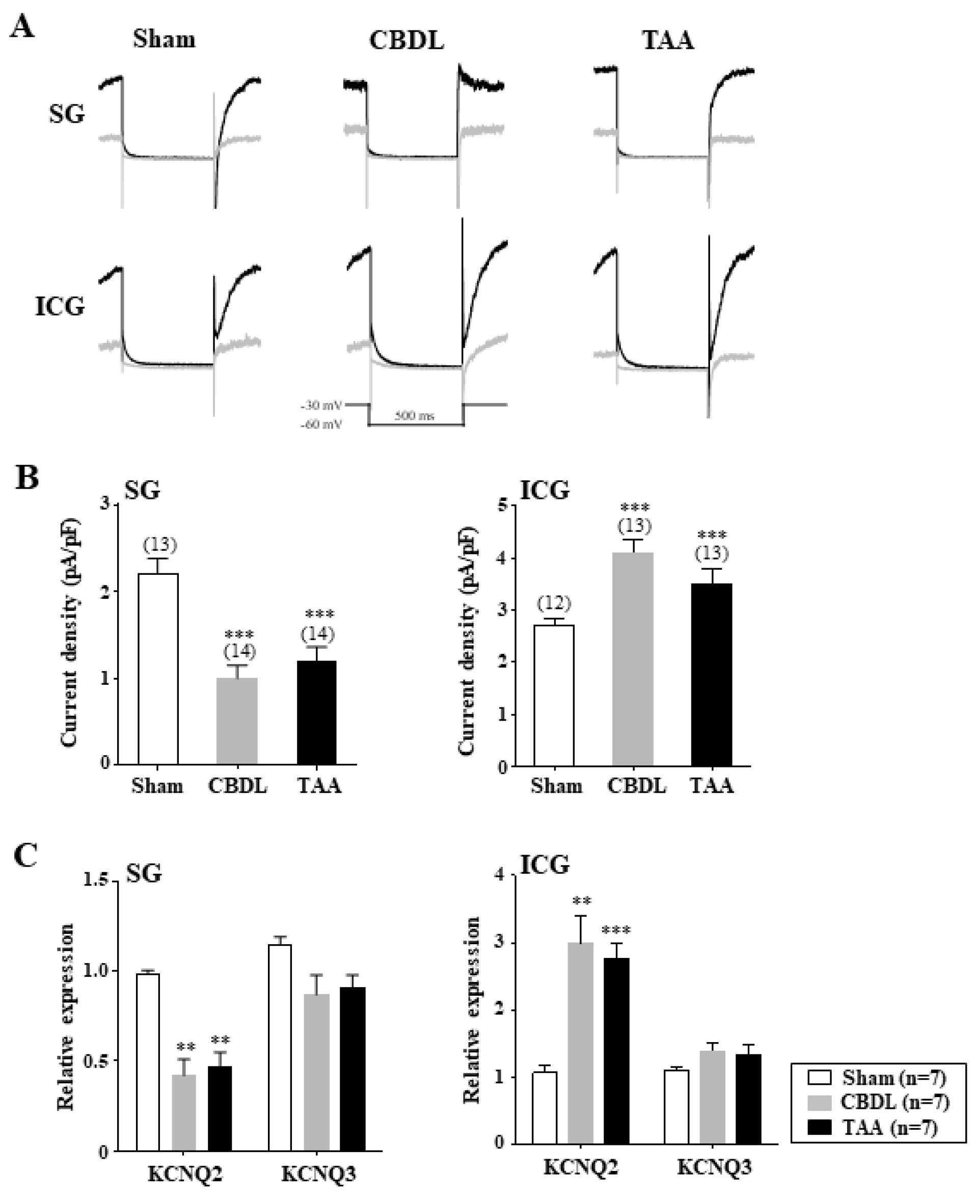 Biomedicines 12 01722 g005 Biomedicines 12 01722 g005