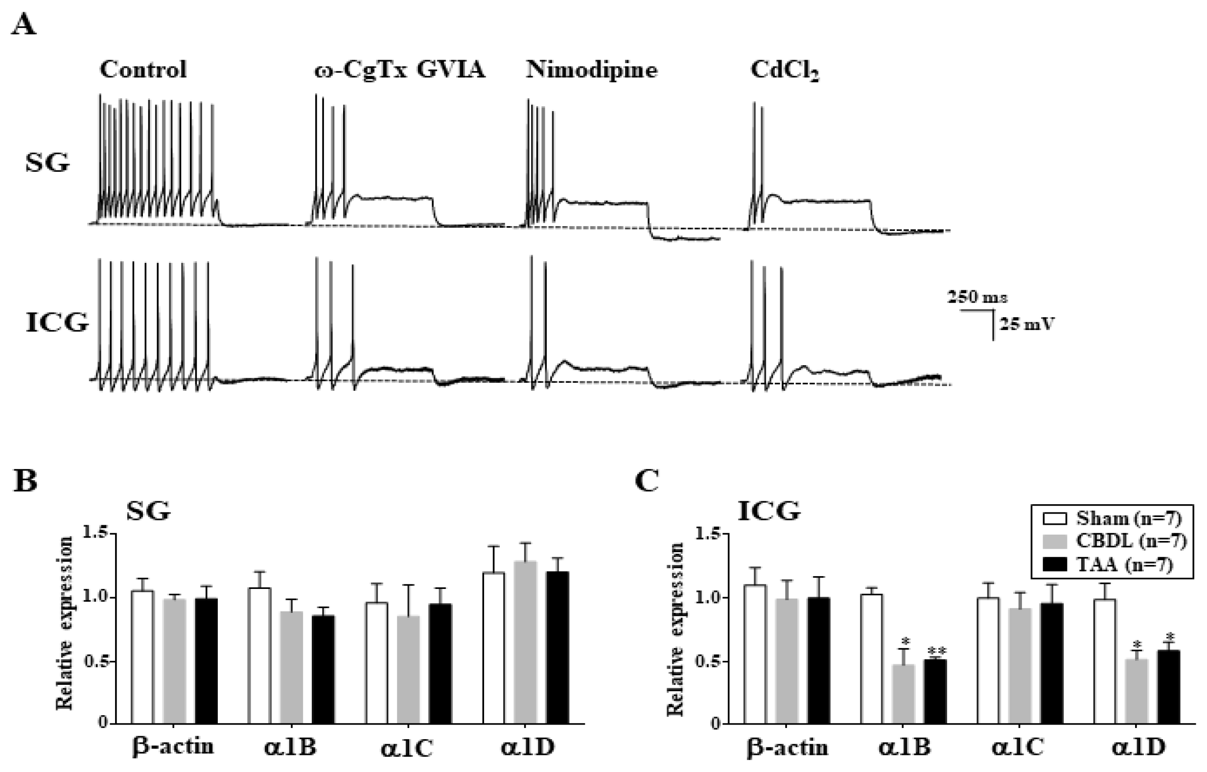 Biomedicines 12 01722 g006 Biomedicines 12 01722 g006