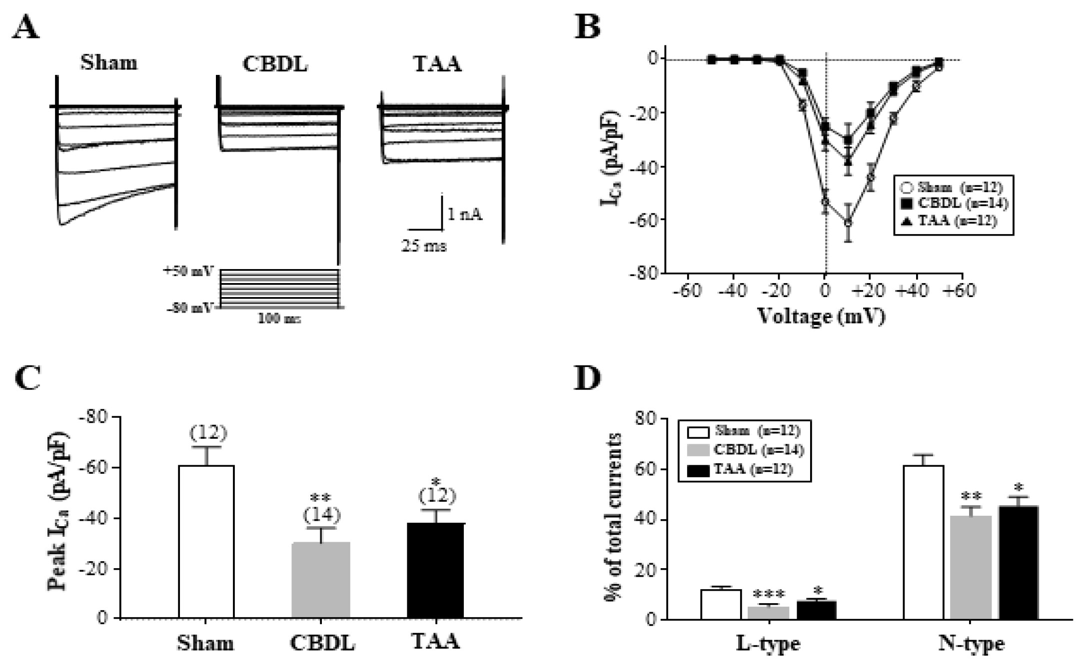 Biomedicines 12 01722 g007 Biomedicines 12 01722 g007