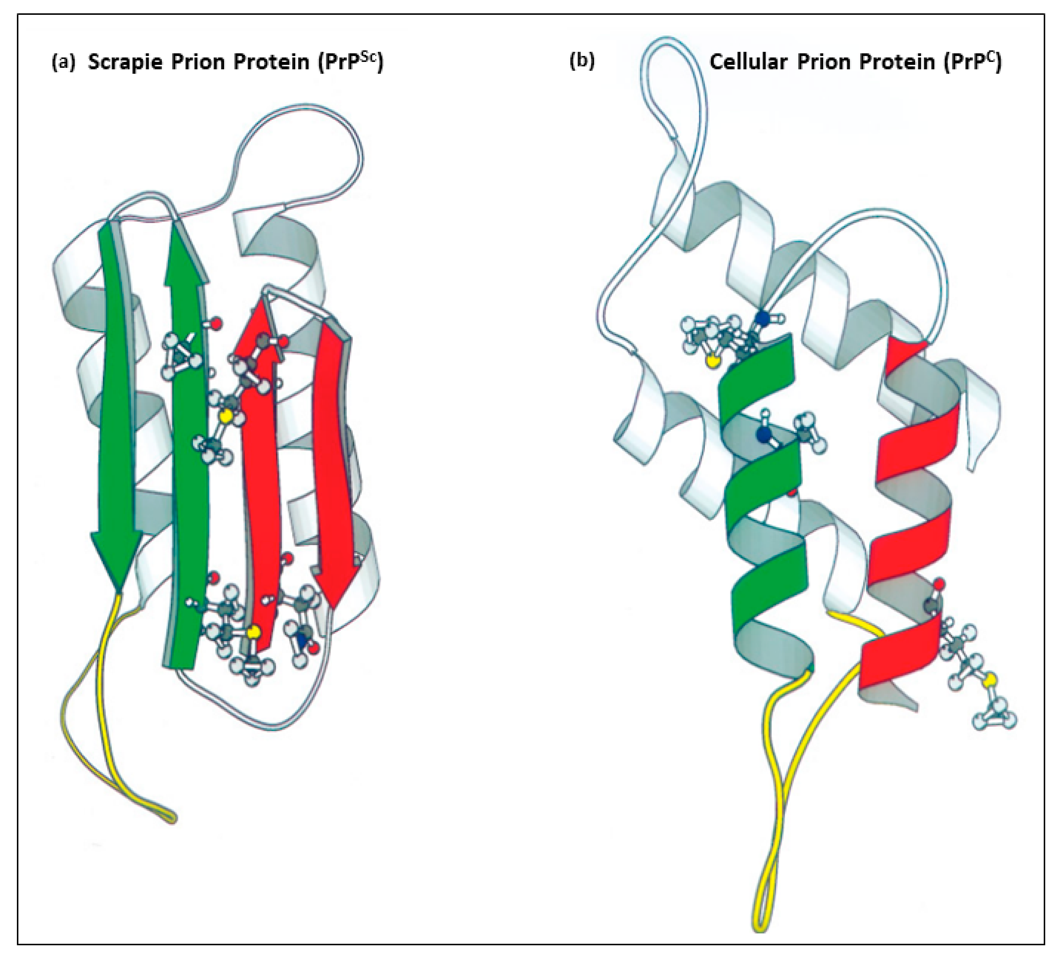 Biomedicines 12 01725 g001 Biomedicines 12 01725 g001