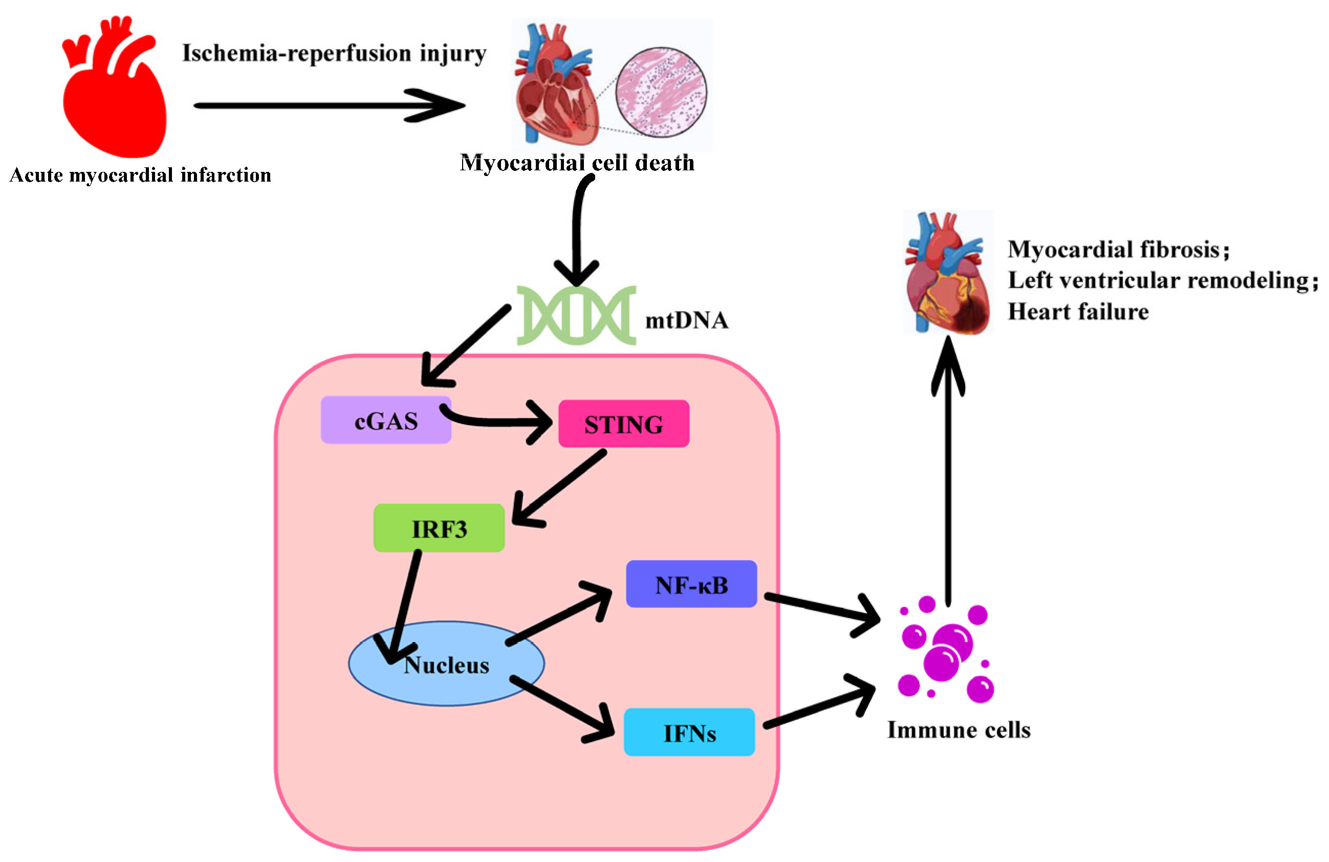 Biomedicines 12 01728 g002
