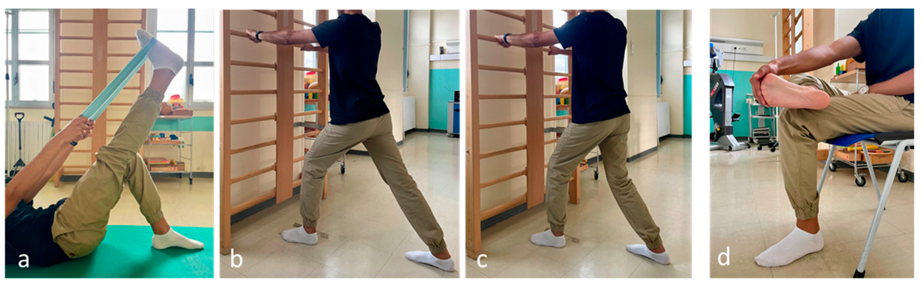 Biomedicines 12 01729 g001 Biomedicines 12 01729 g001