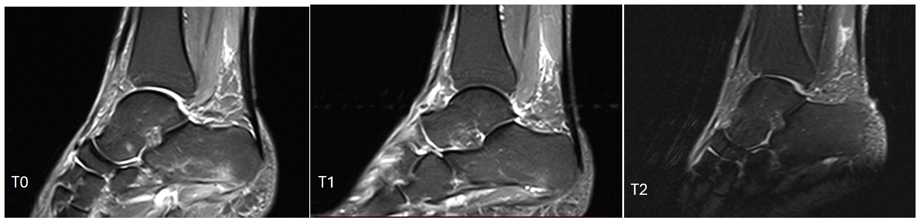 Biomedicines 12 01729 g004 Biomedicines 12 01729 g004