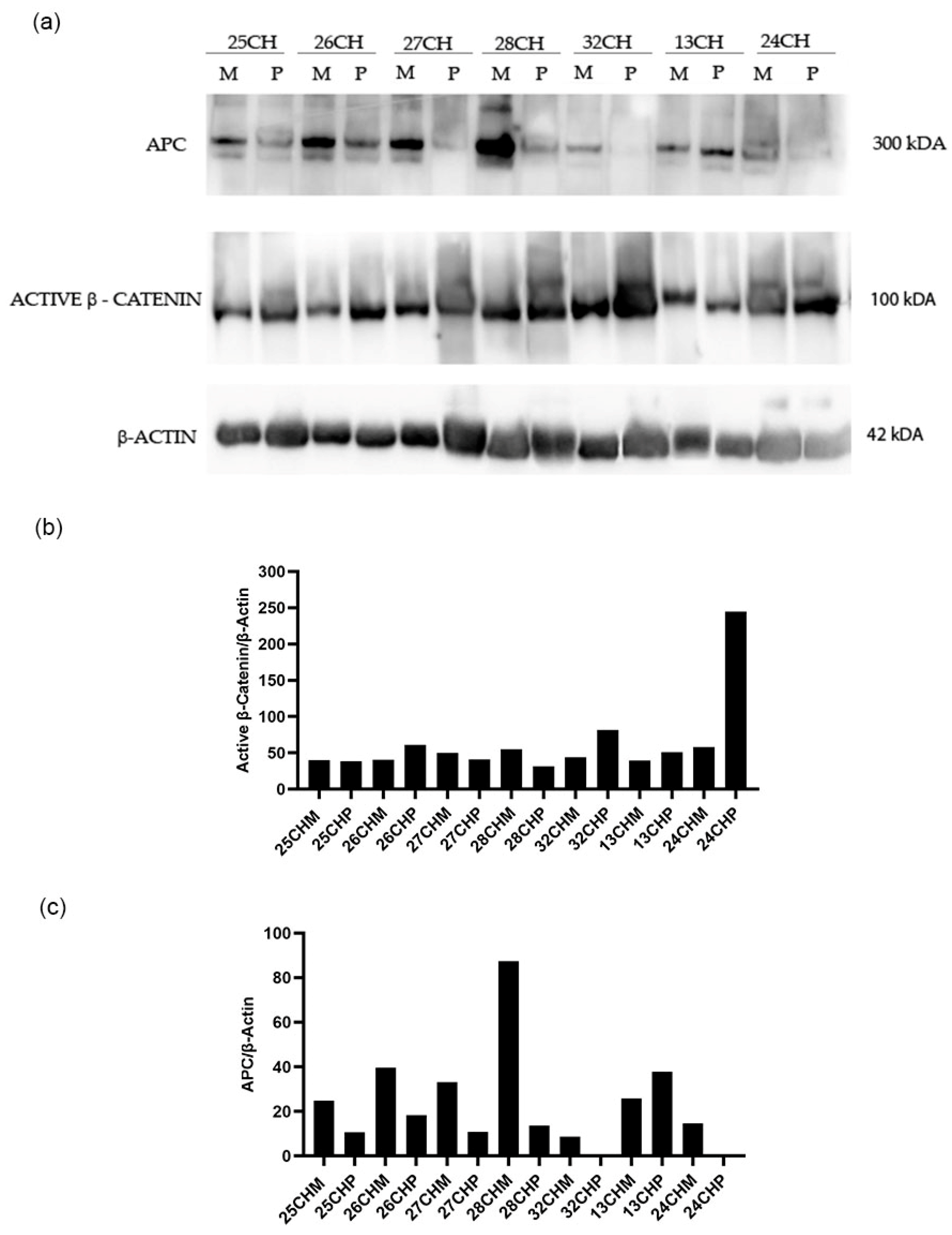 Biomedicines 12 01730 g005