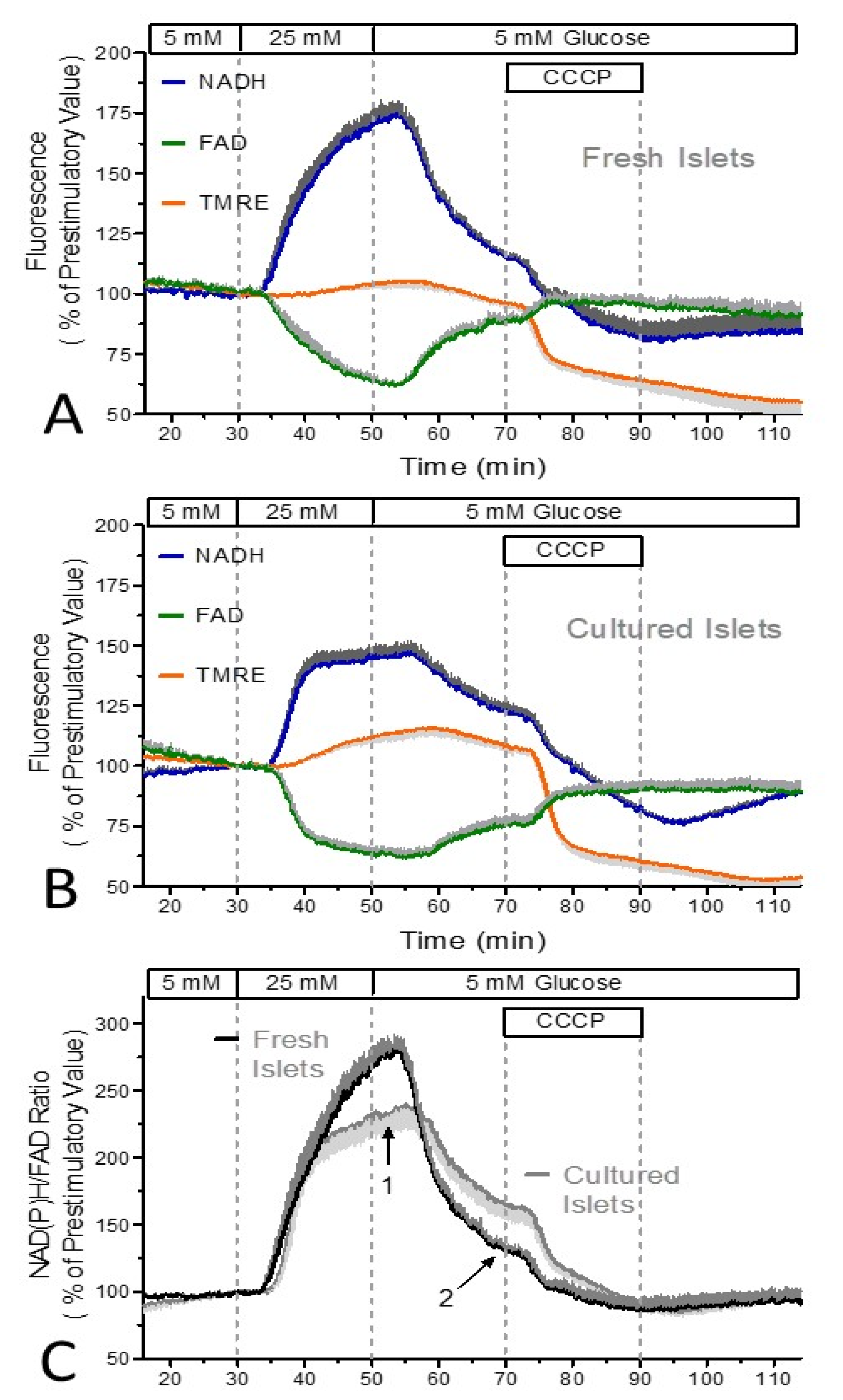 Biomedicines 12 01747 g002 Biomedicines 12 01747 g002