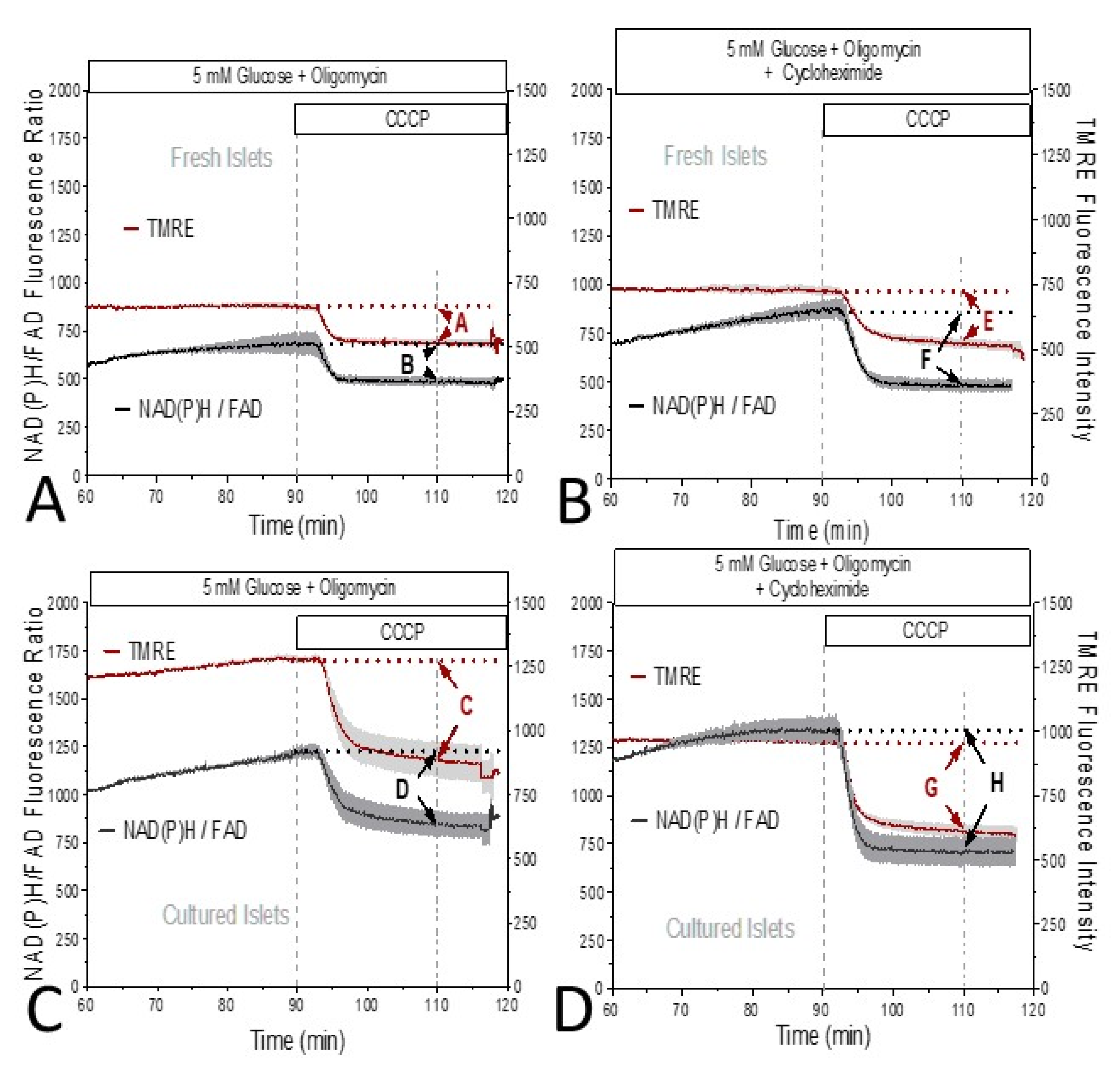 Biomedicines 12 01747 g003 Biomedicines 12 01747 g003