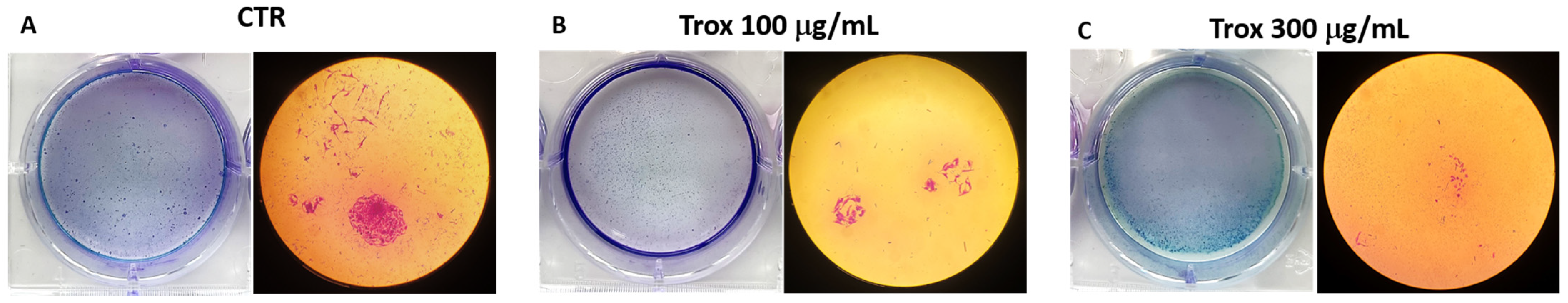 Biomedicines 12 01755 g003