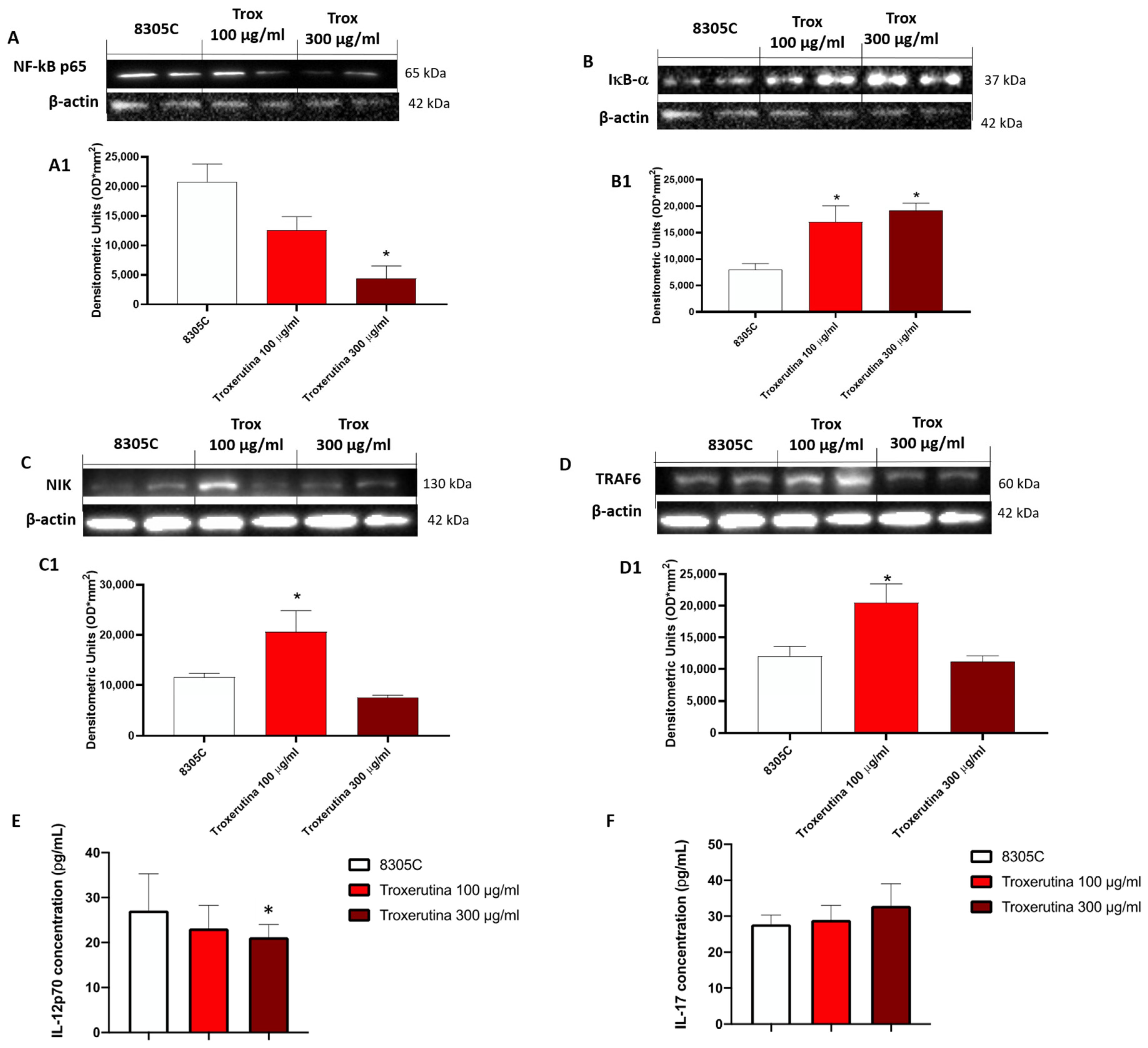 Biomedicines 12 01755 g004