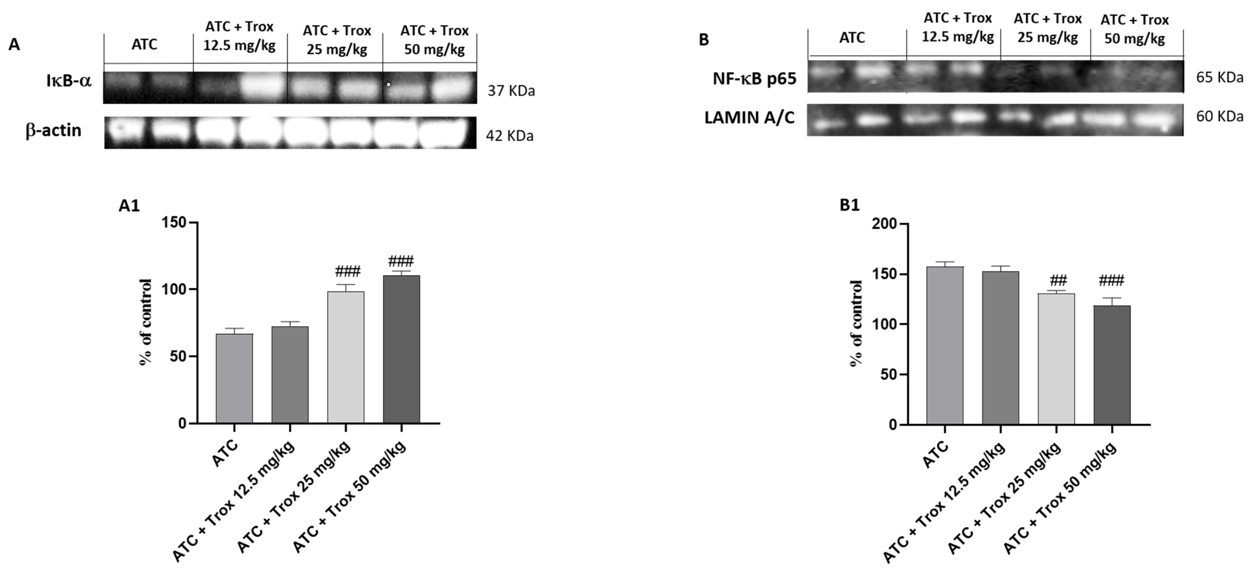 Biomedicines 12 01755 g009