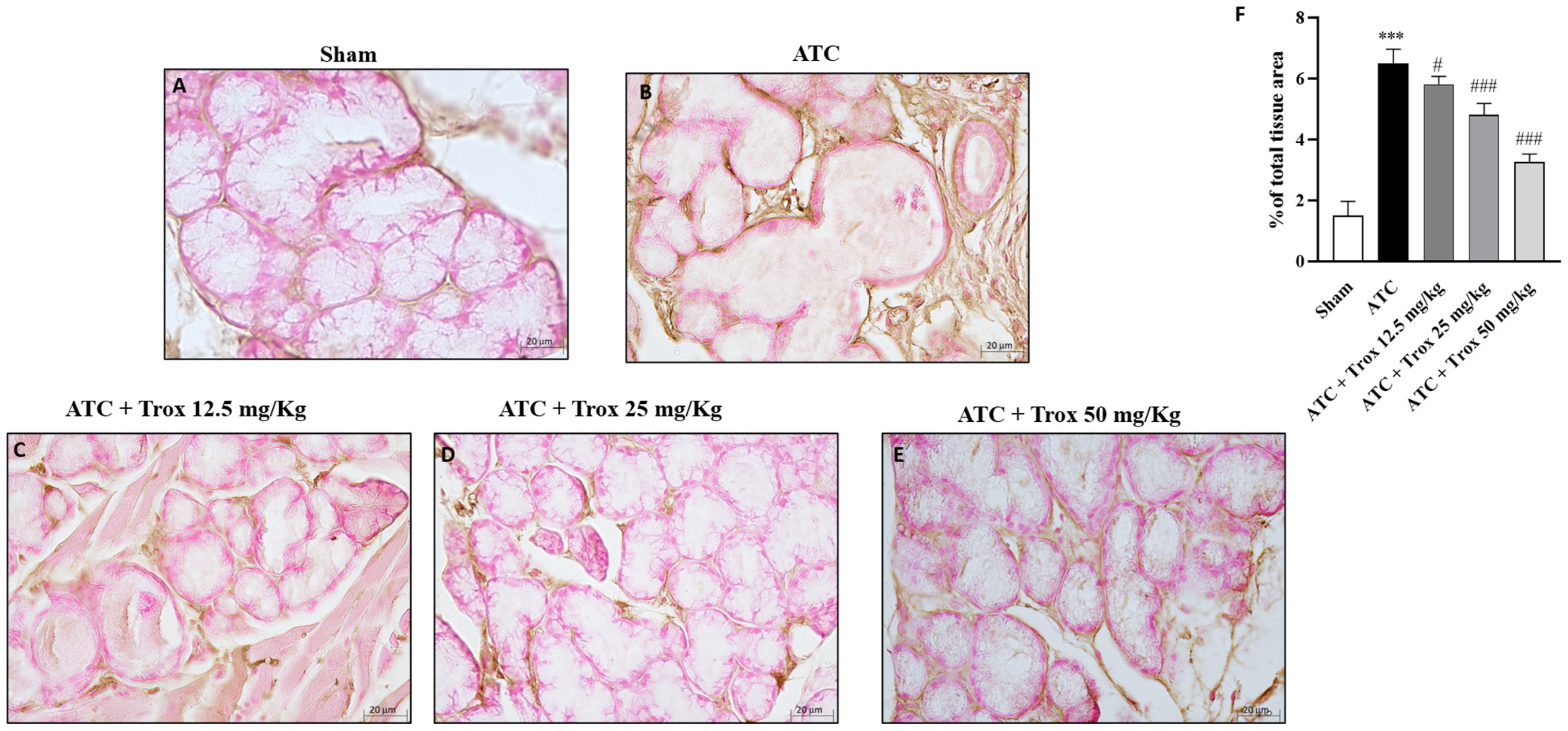 Biomedicines 12 01755 g012