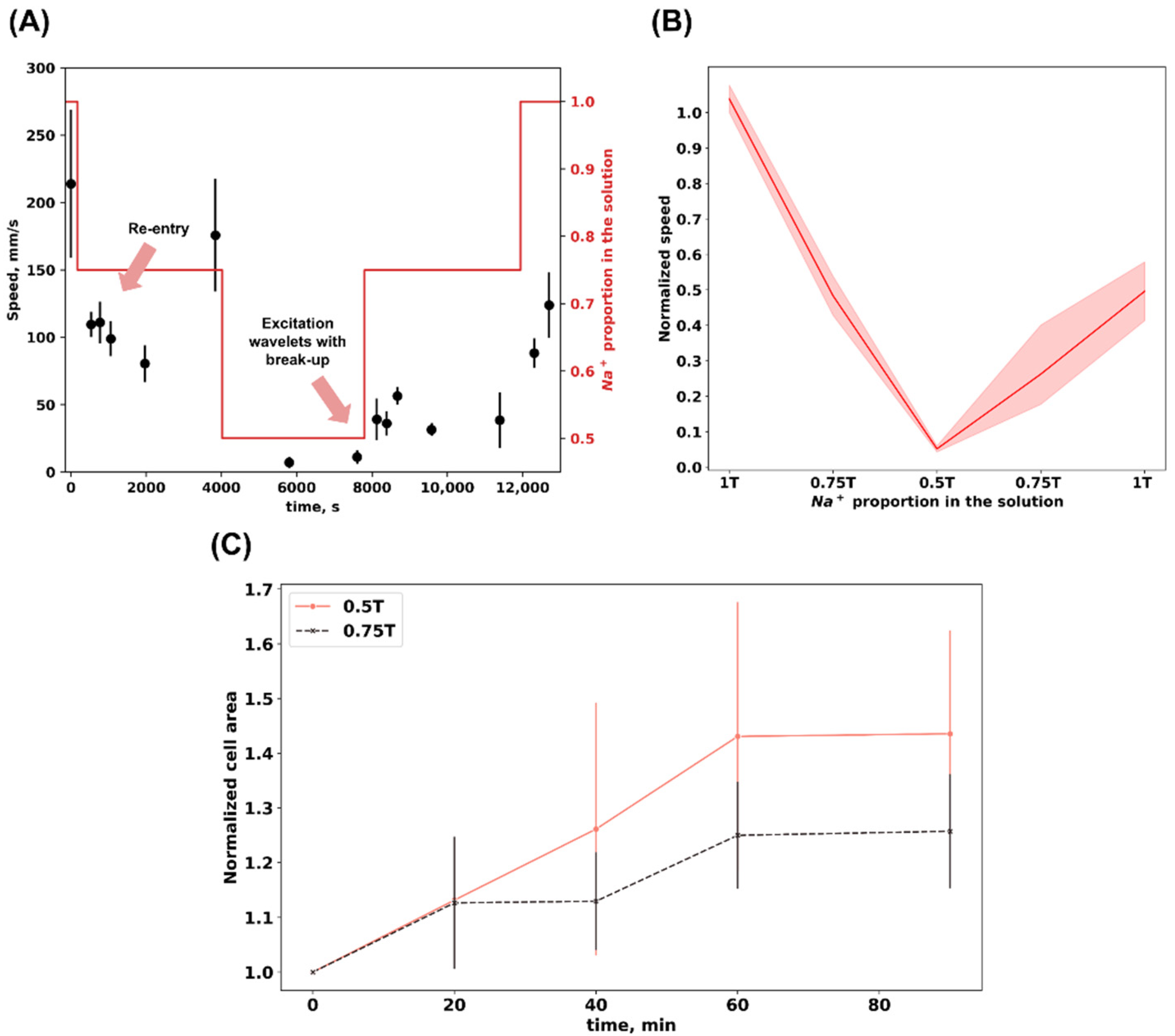 Biomedicines 12 01770 g002 Biomedicines 12 01770 g002