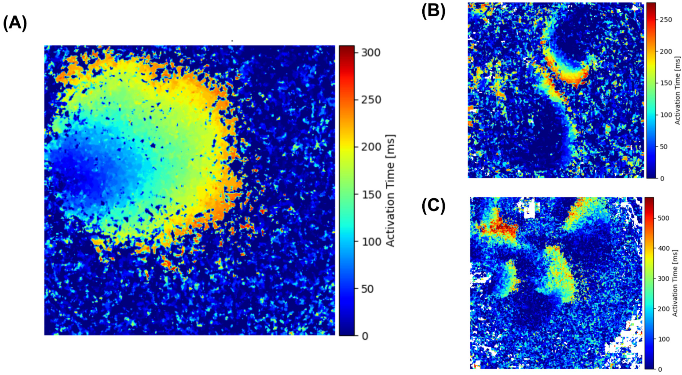 Biomedicines 12 01770 g003 Biomedicines 12 01770 g003