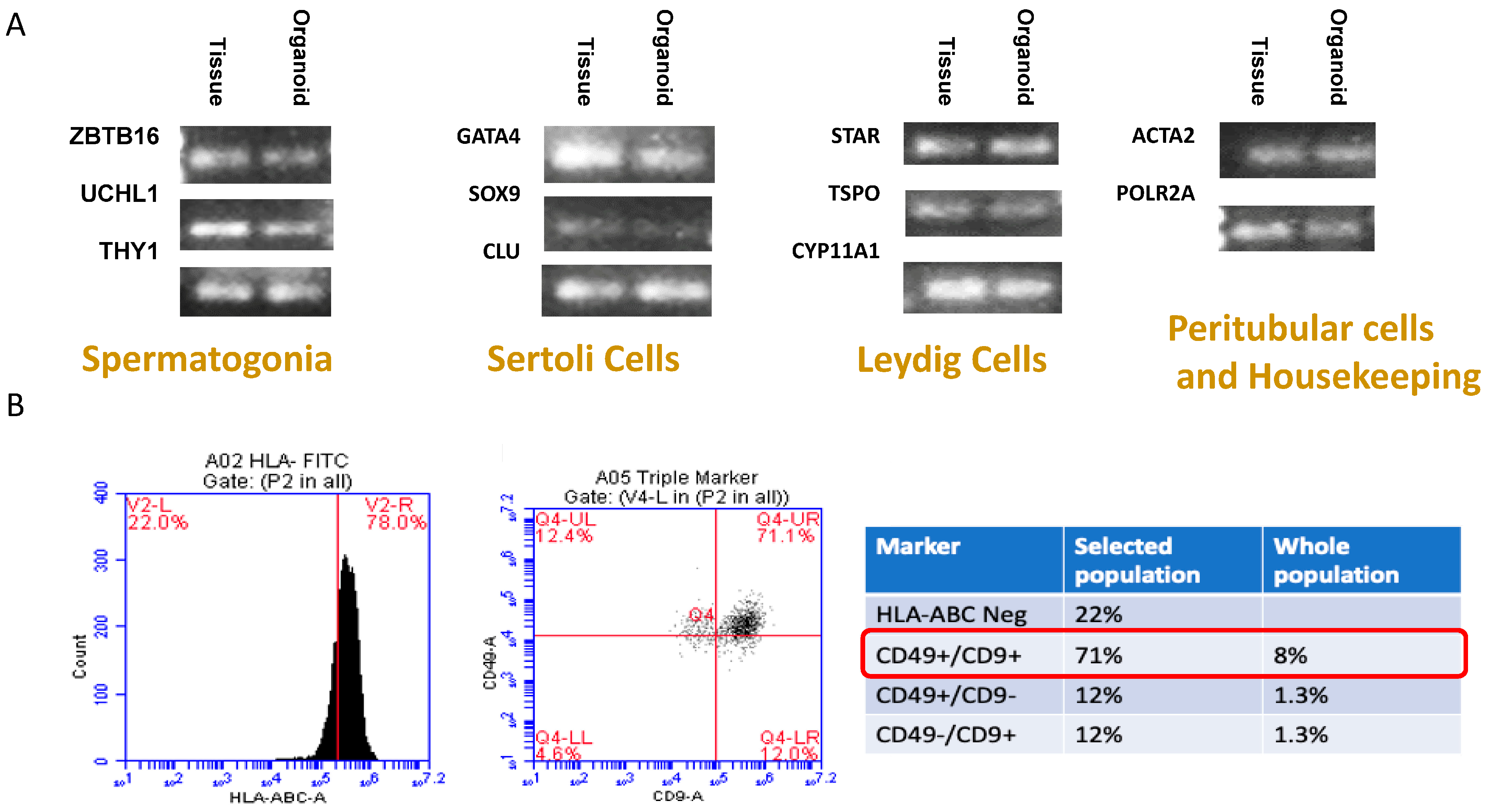 Biomedicines 12 01774 g004 Biomedicines 12 01774 g004
