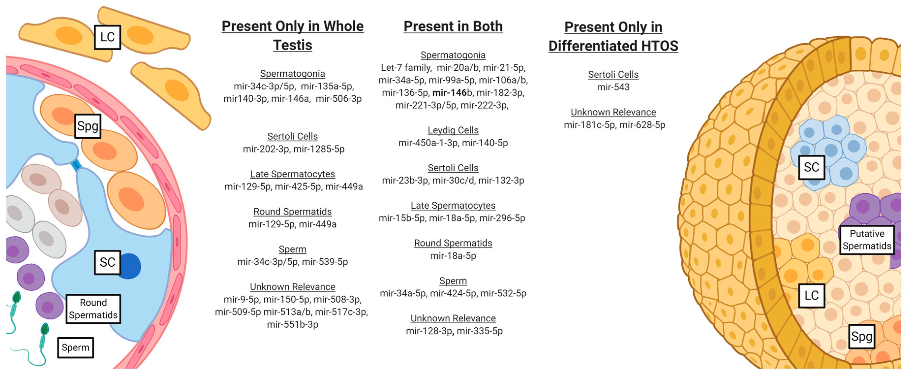 Biomedicines 12 01774 g006 Biomedicines 12 01774 g006
