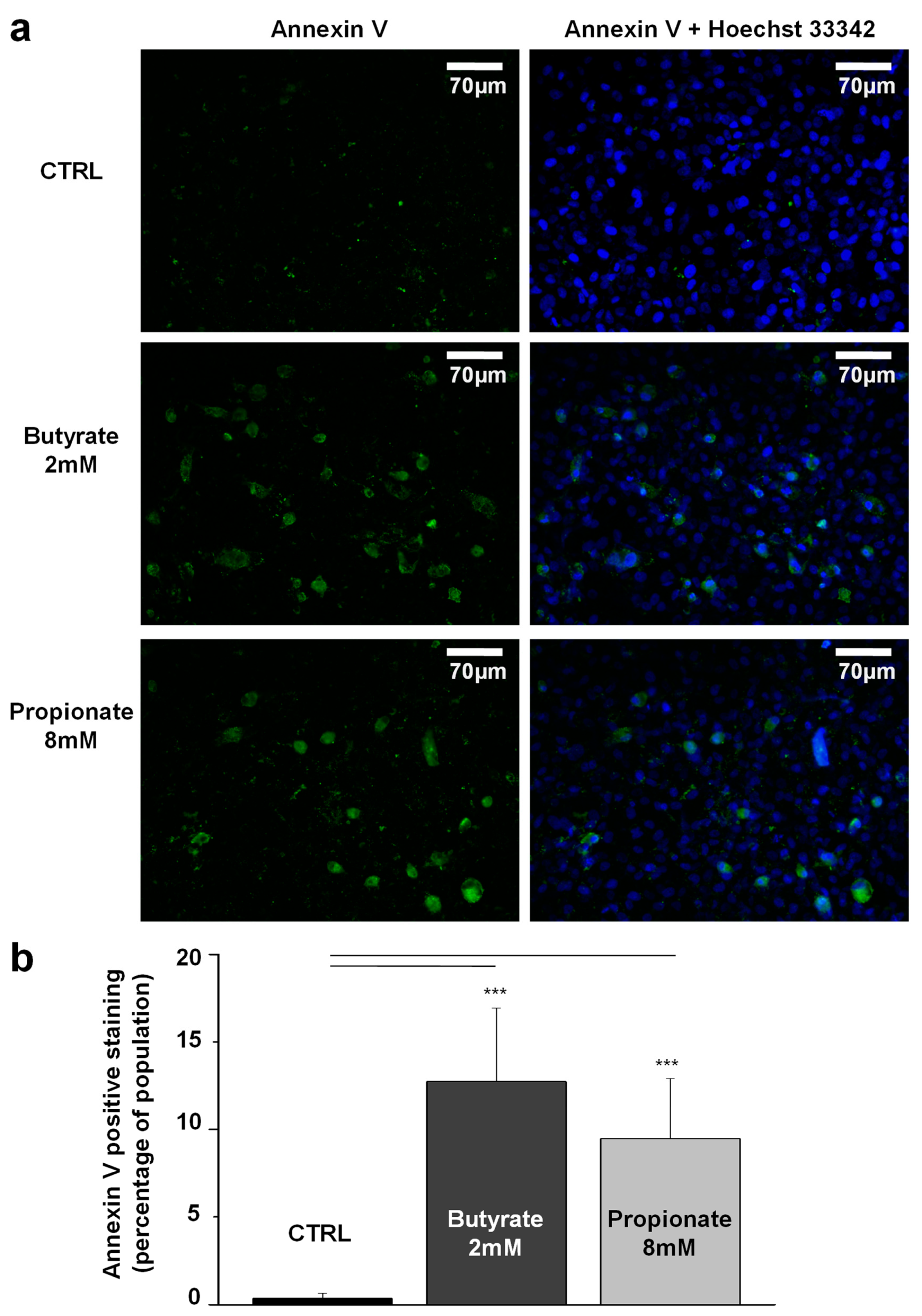 Biomedicines 12 01779 g004