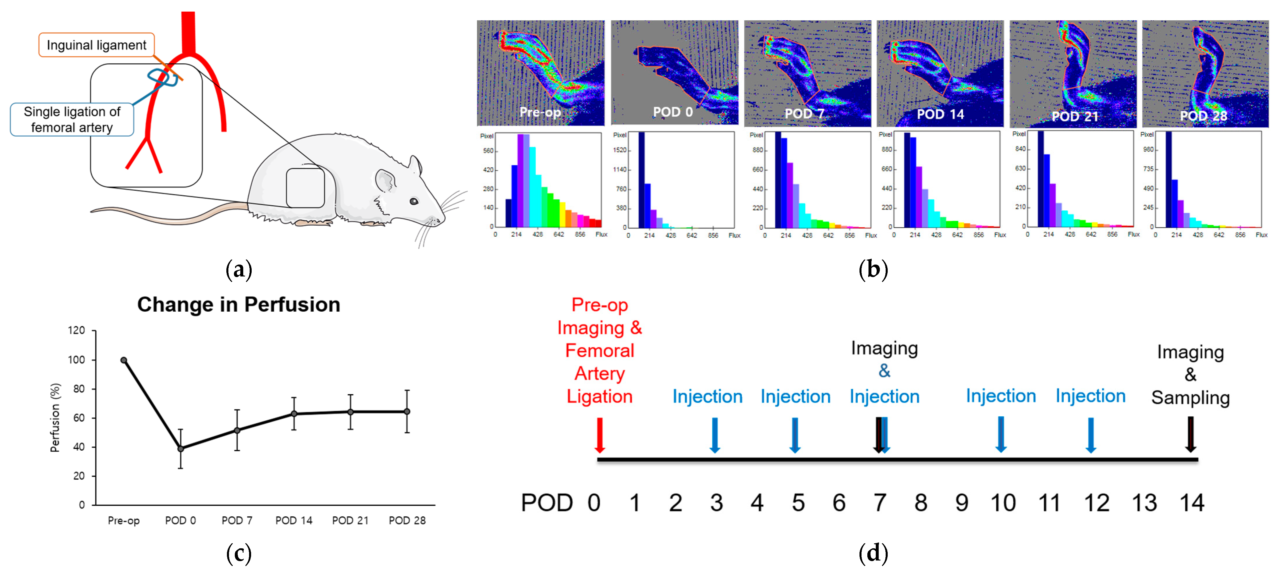 Biomedicines 12 01787 g001