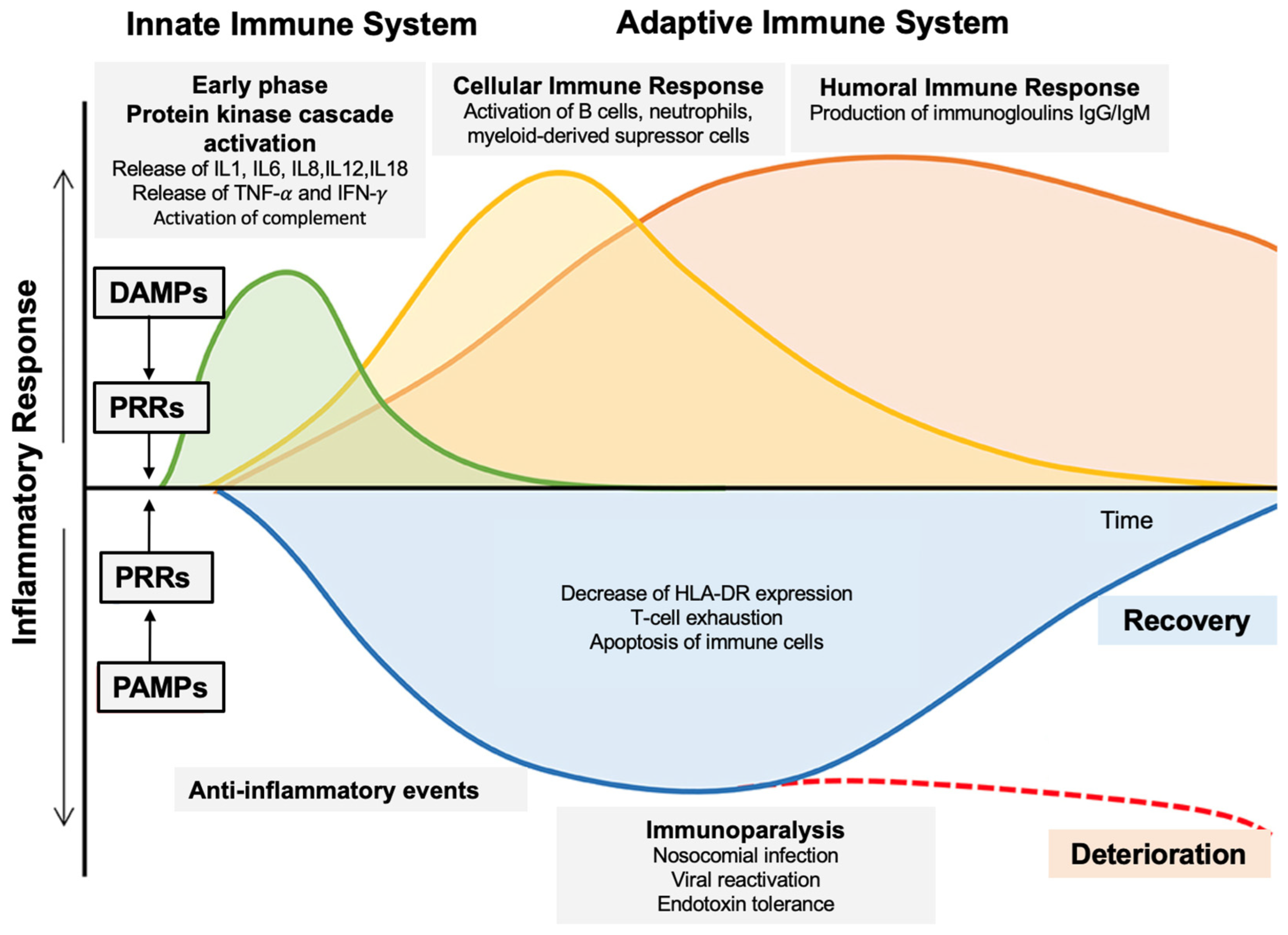 Biomedicines 12 01790 g002