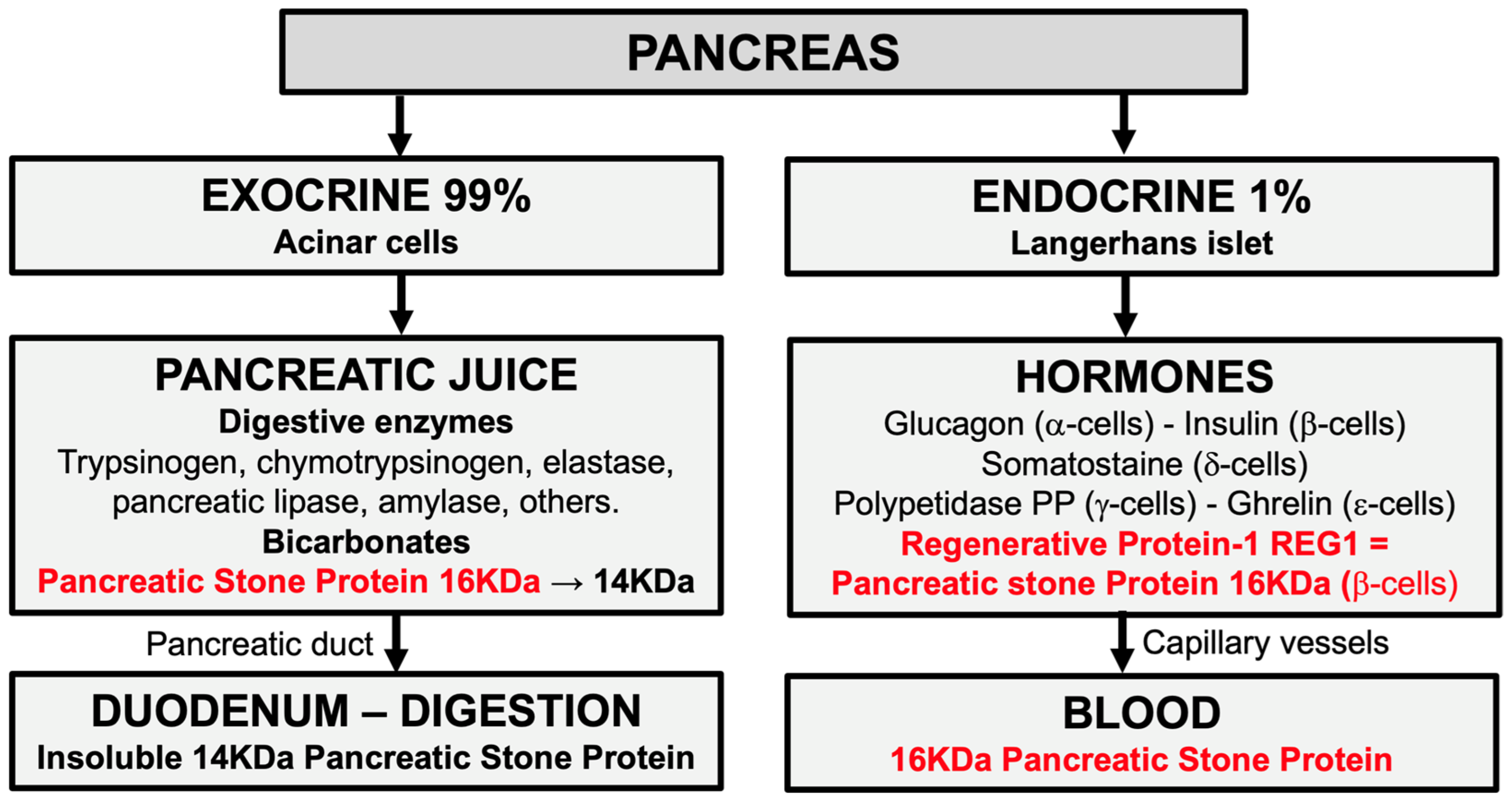 Biomedicines 12 01790 g003