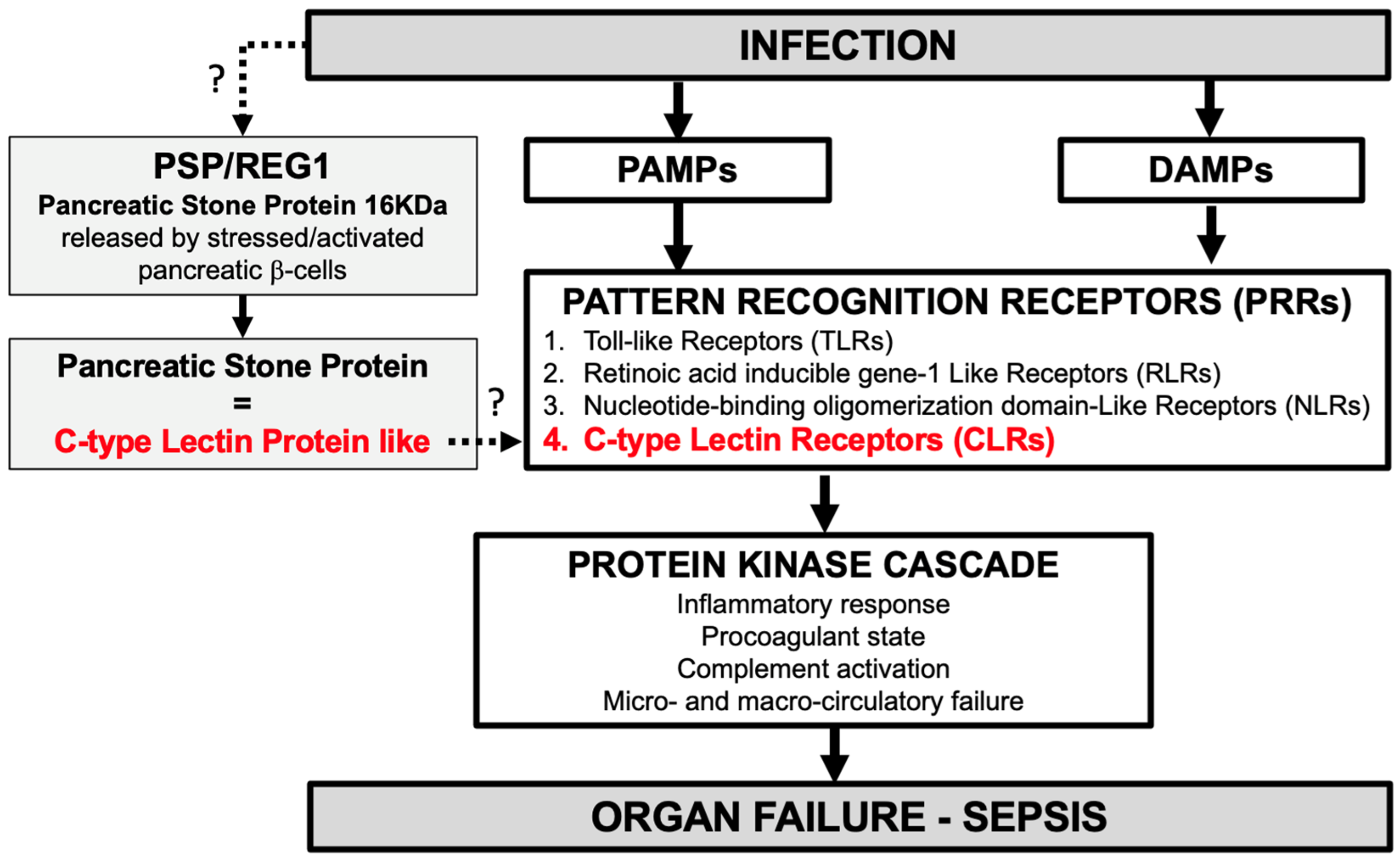 Biomedicines 12 01790 g004